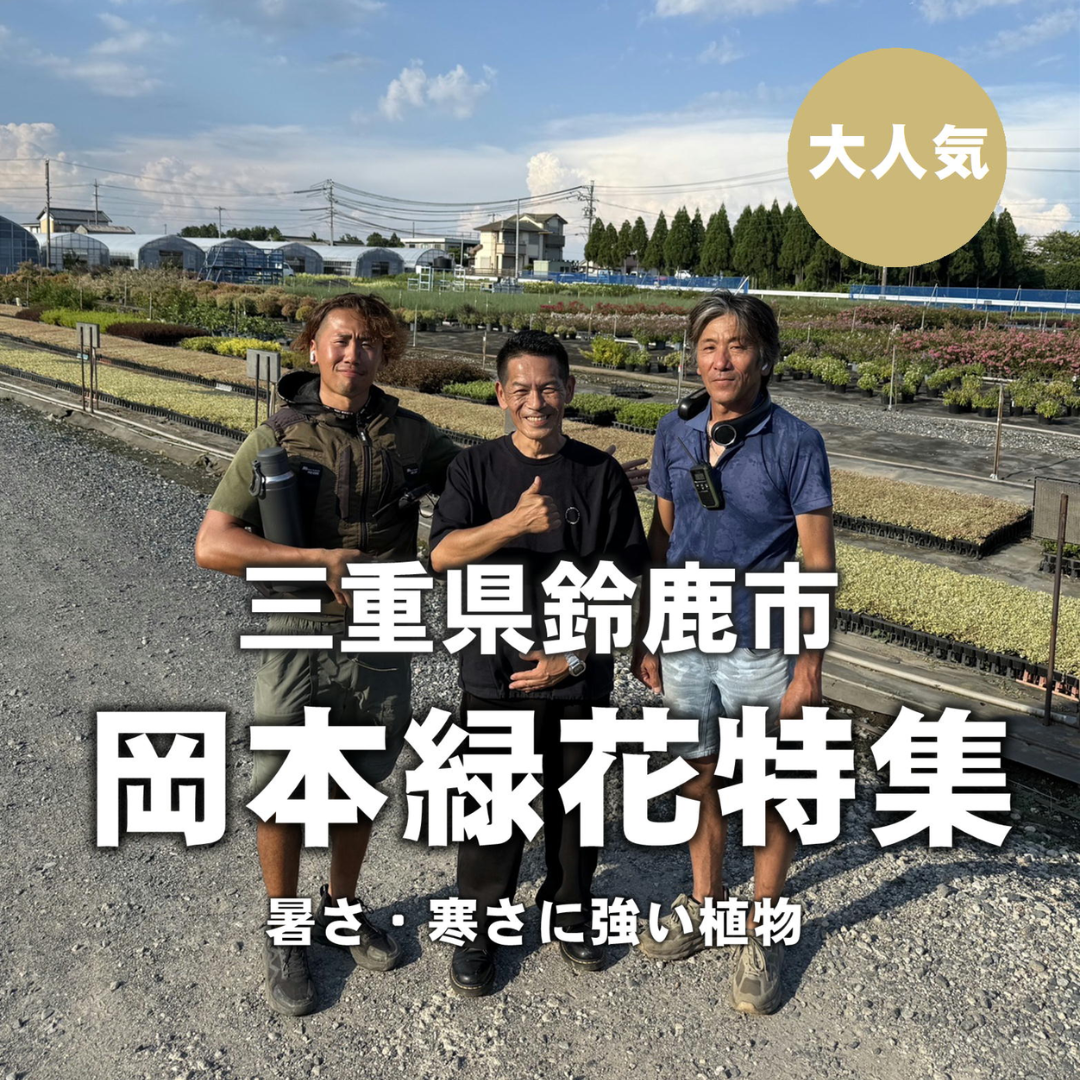 初心者の方でも安心♪暑さ寒さに強い岡本緑花さんの植物販売中！