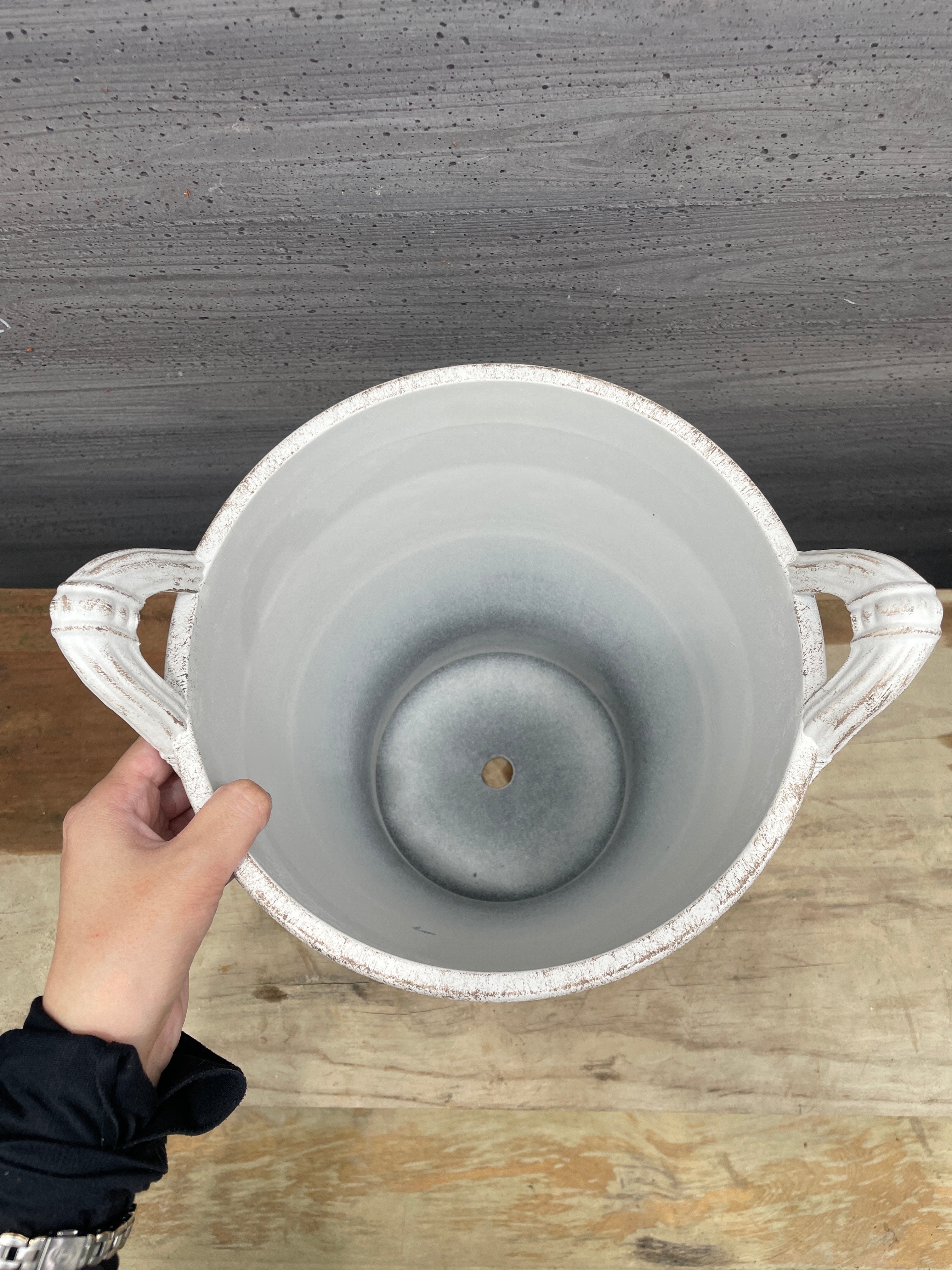 観葉植物広場⭐︎プロフ必読 Pickup 全ての商品 – 植物家族