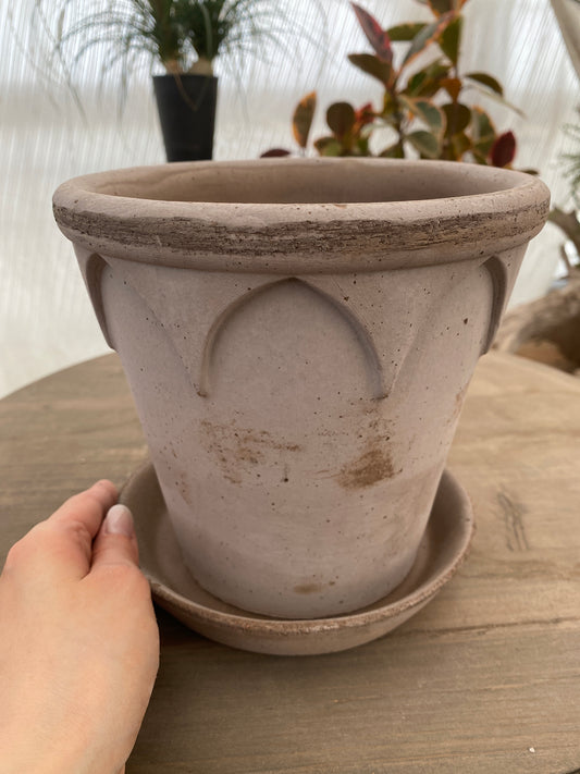 BERGS エリザベス18 グレー