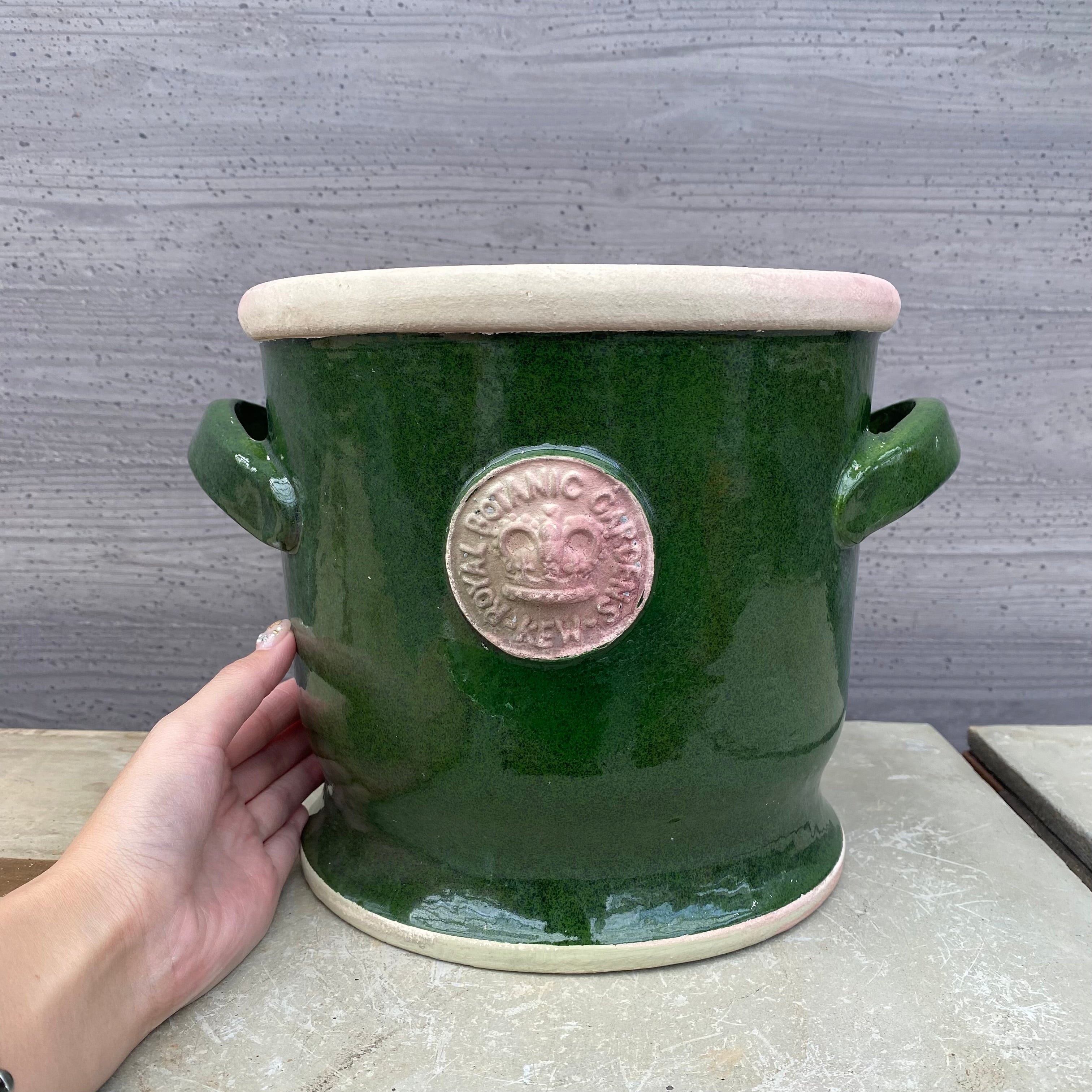 Pickup 全ての商品 – 植物家族