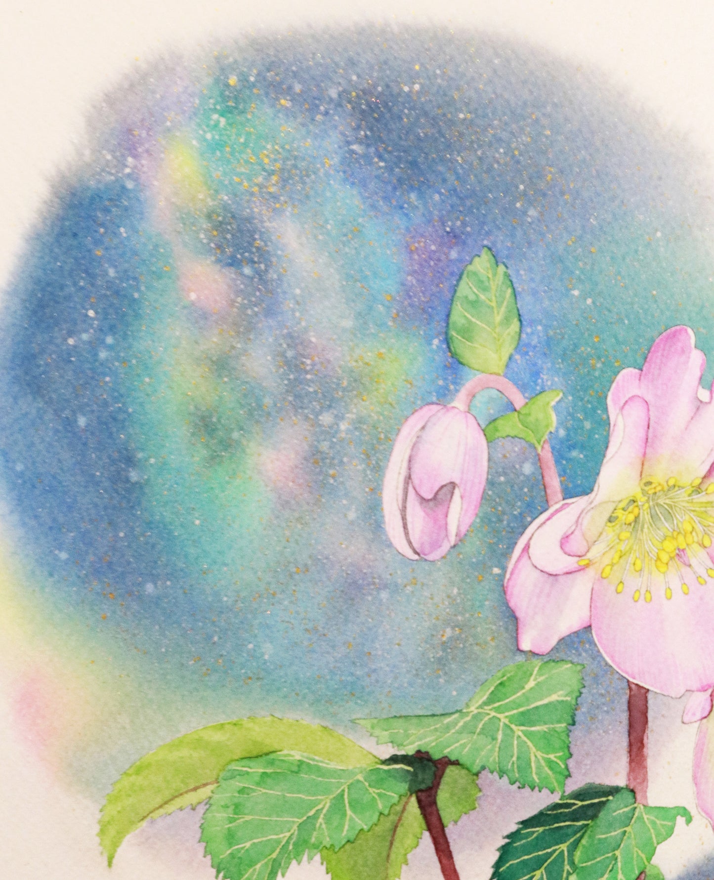 原画★クリスマスローズ　33.3×30cm