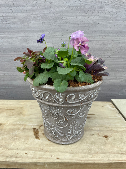 寄せ植え (プラスチック鉢)