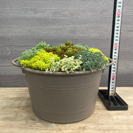 寄せ植えK 手つきポットグレー