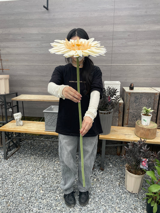 大輪ガーベラ【クリーム 】造花