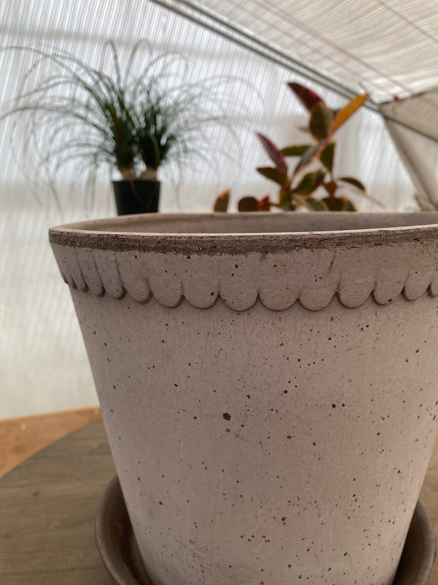 BERGS　ヘレナ25　グレー