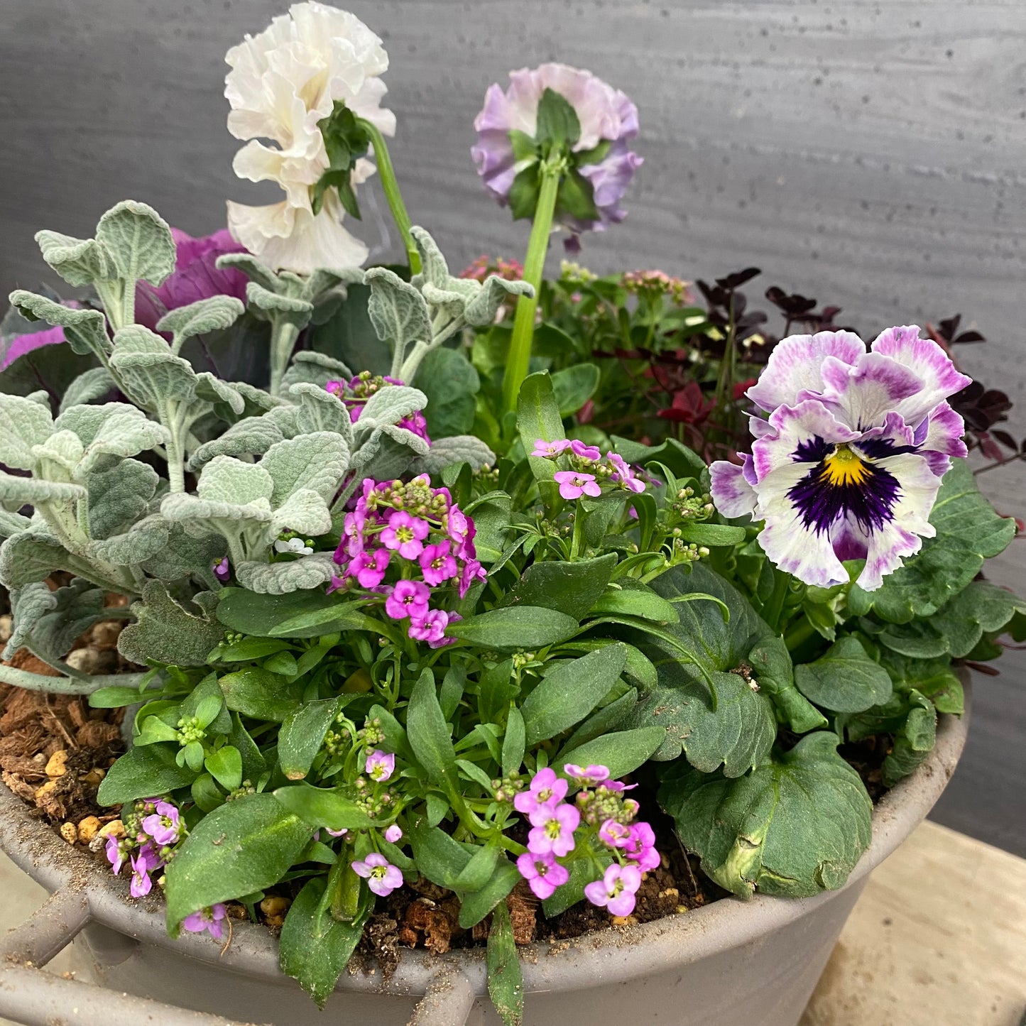 寄せ植えJ　手つきポットグレー