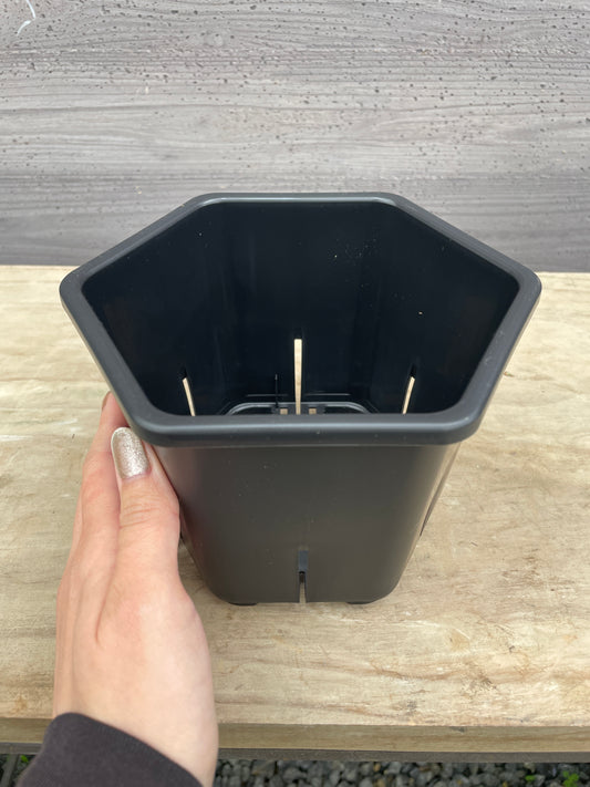 No.26002　ヘキサポット　5号黒　5個セット