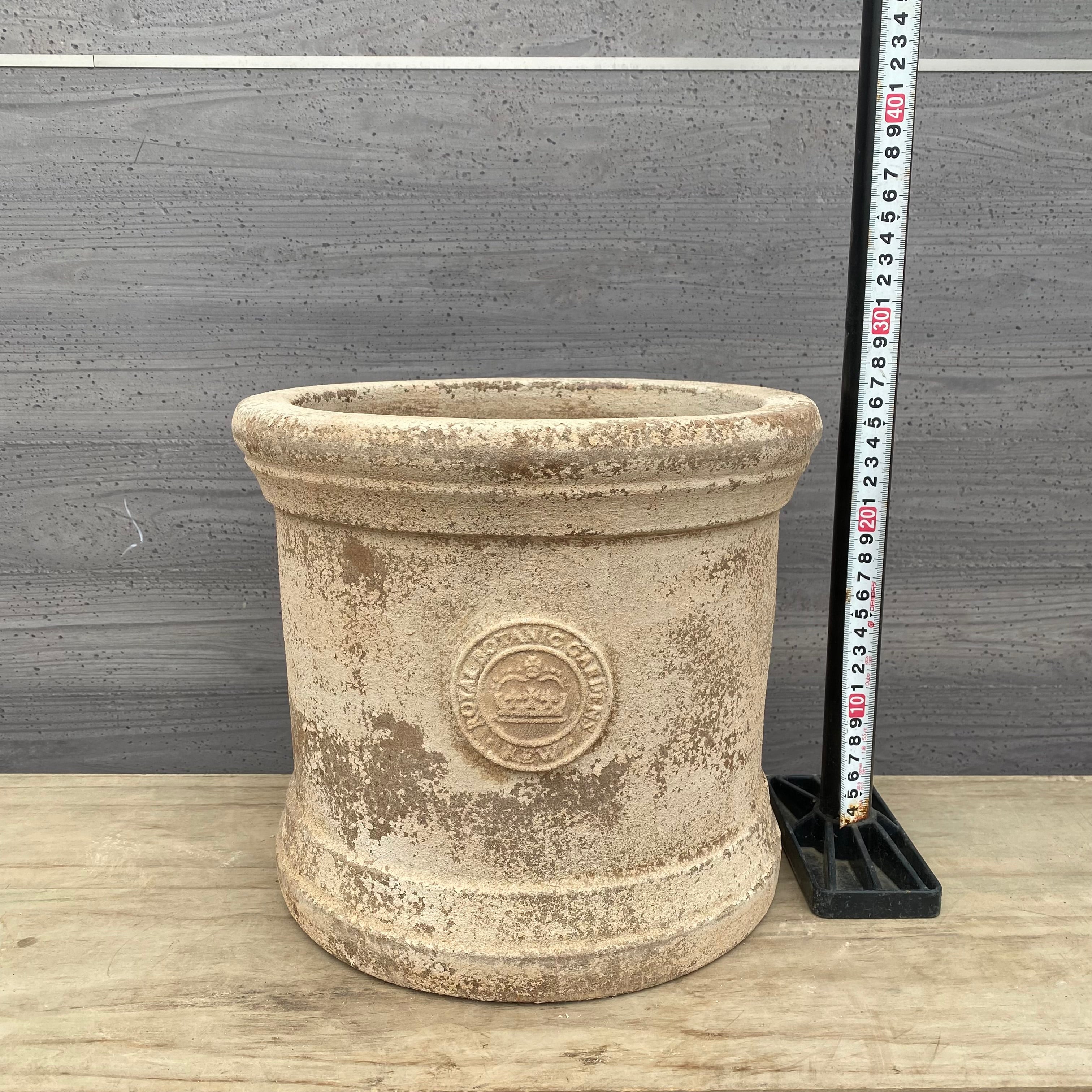 Pickup 全ての商品 – 植物家族