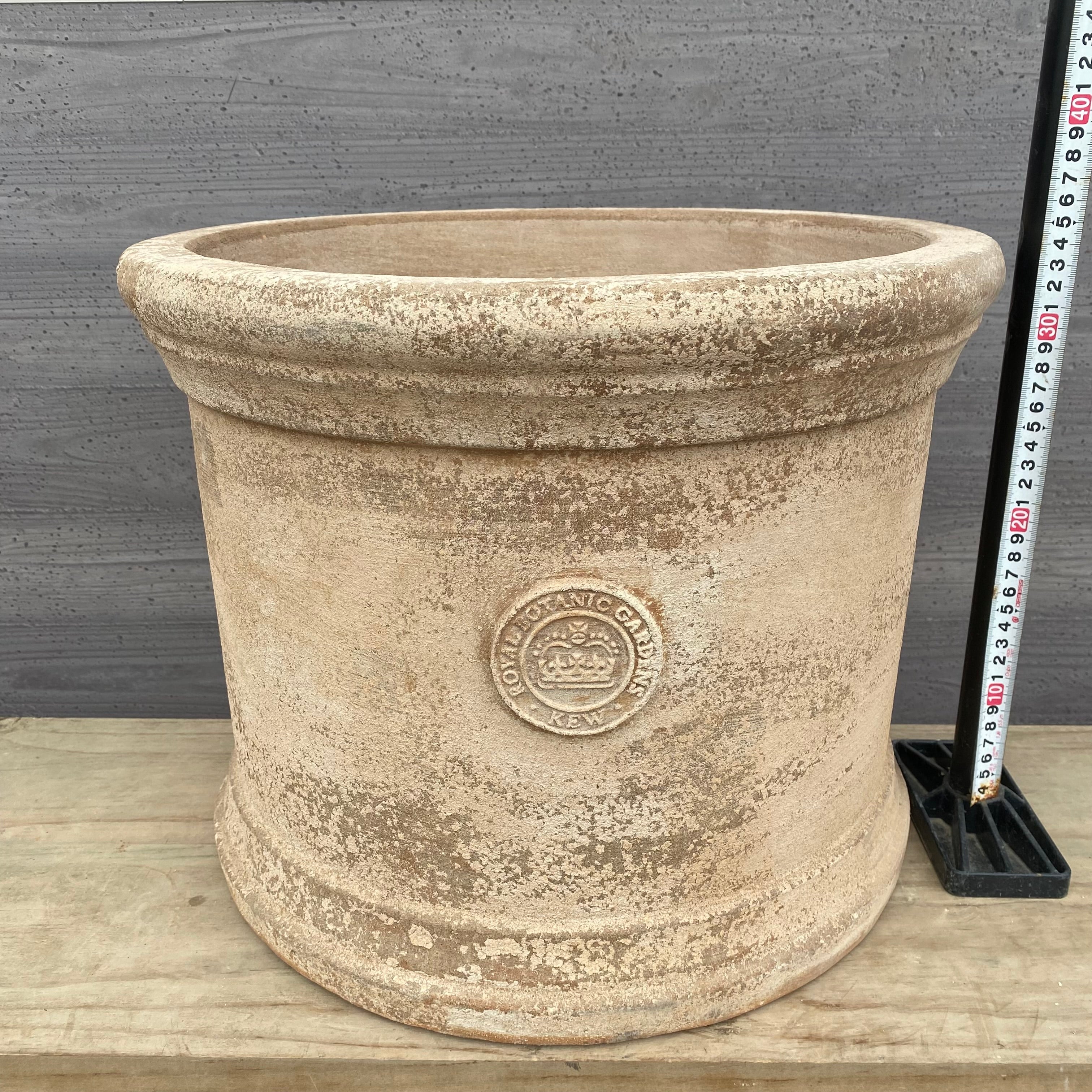 Pickup 全ての商品 – 植物家族