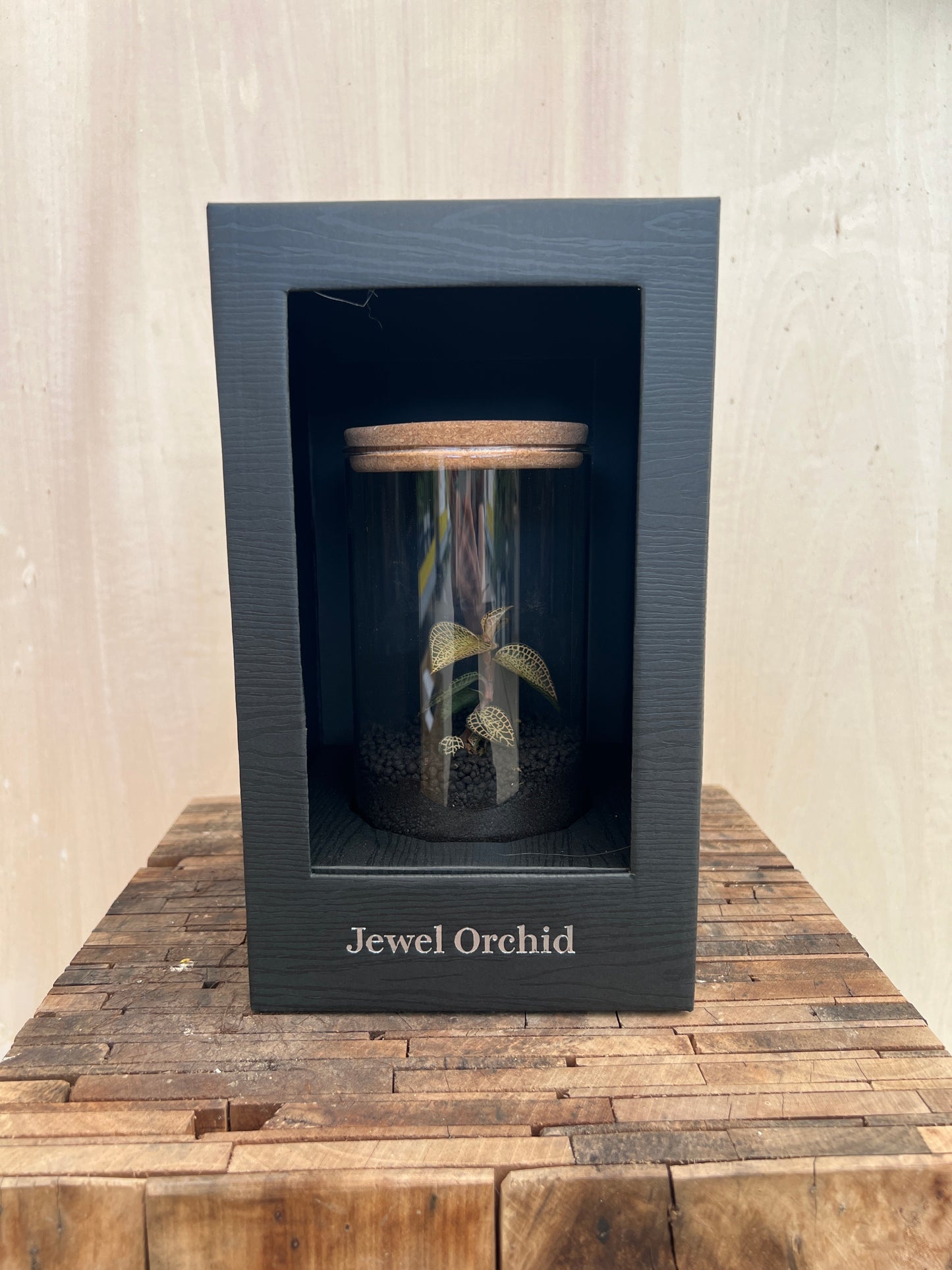 No.20022    ジュエルオーキッド　Emerald Gold  ガラス容器入り黒ケース