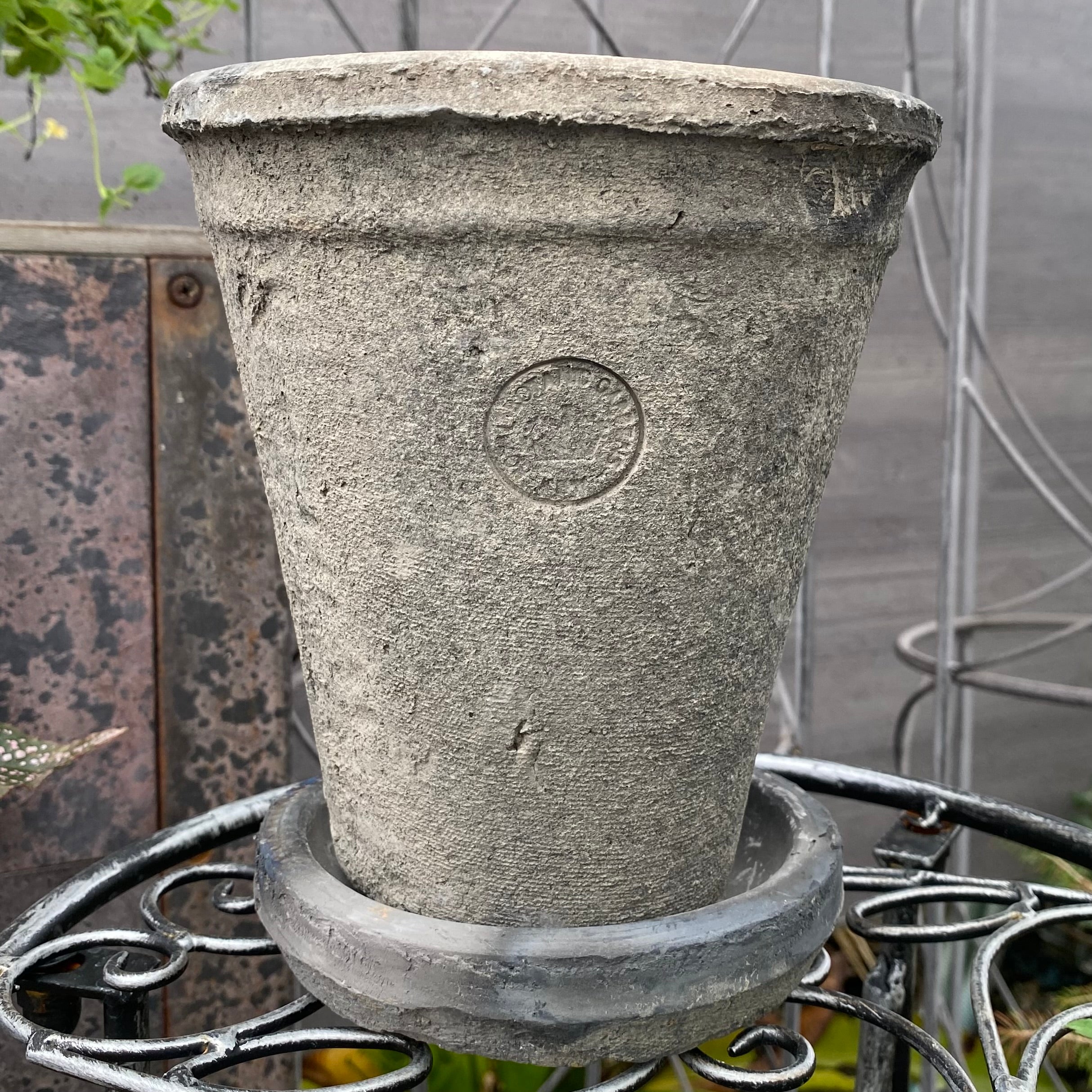 新作テラコッタ鉢 – 植物家族