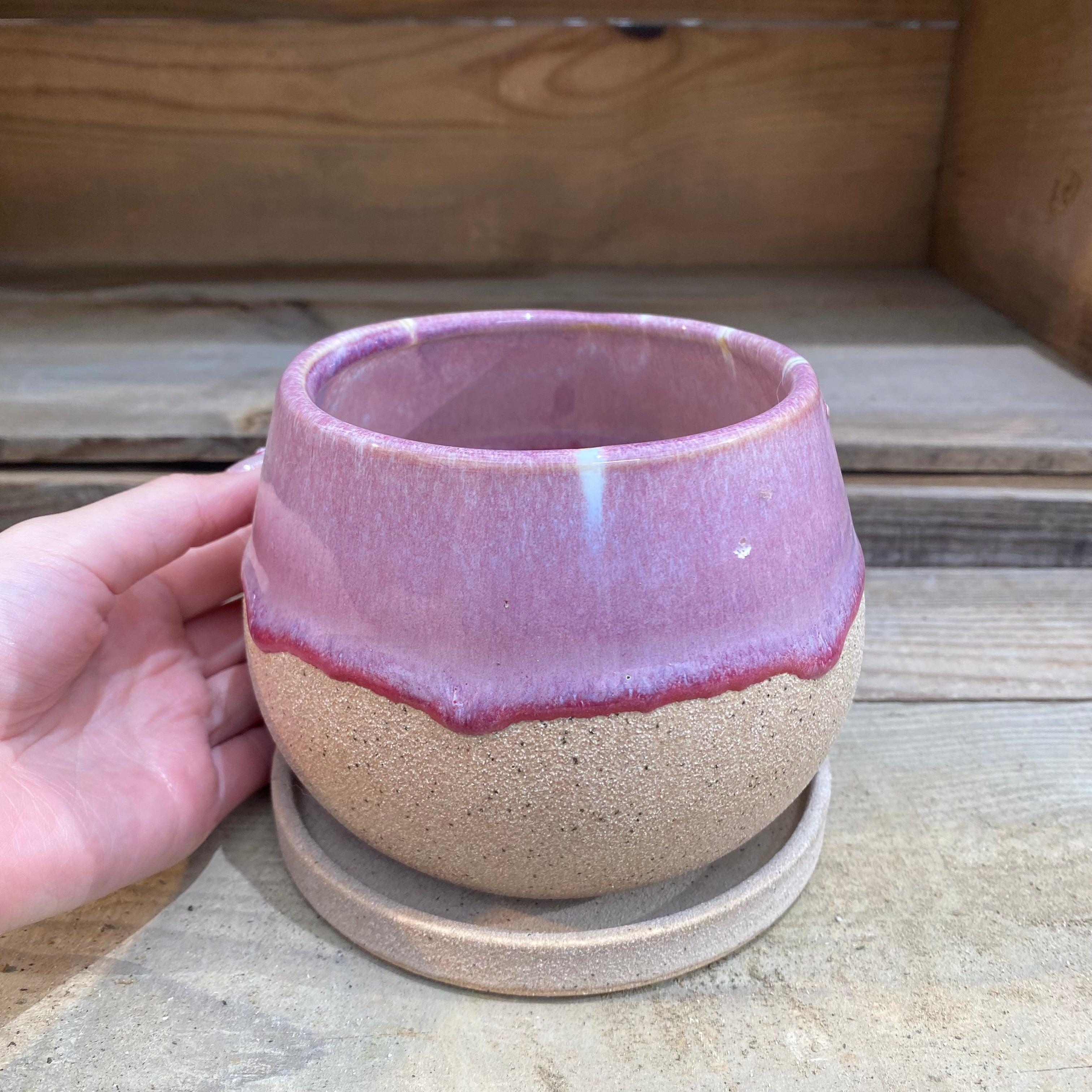 【礼ちゃん様】 フィカスベンガレンシス♪ 太幹 156cm☆ 457aa73cfd02088b20f125ee871b90