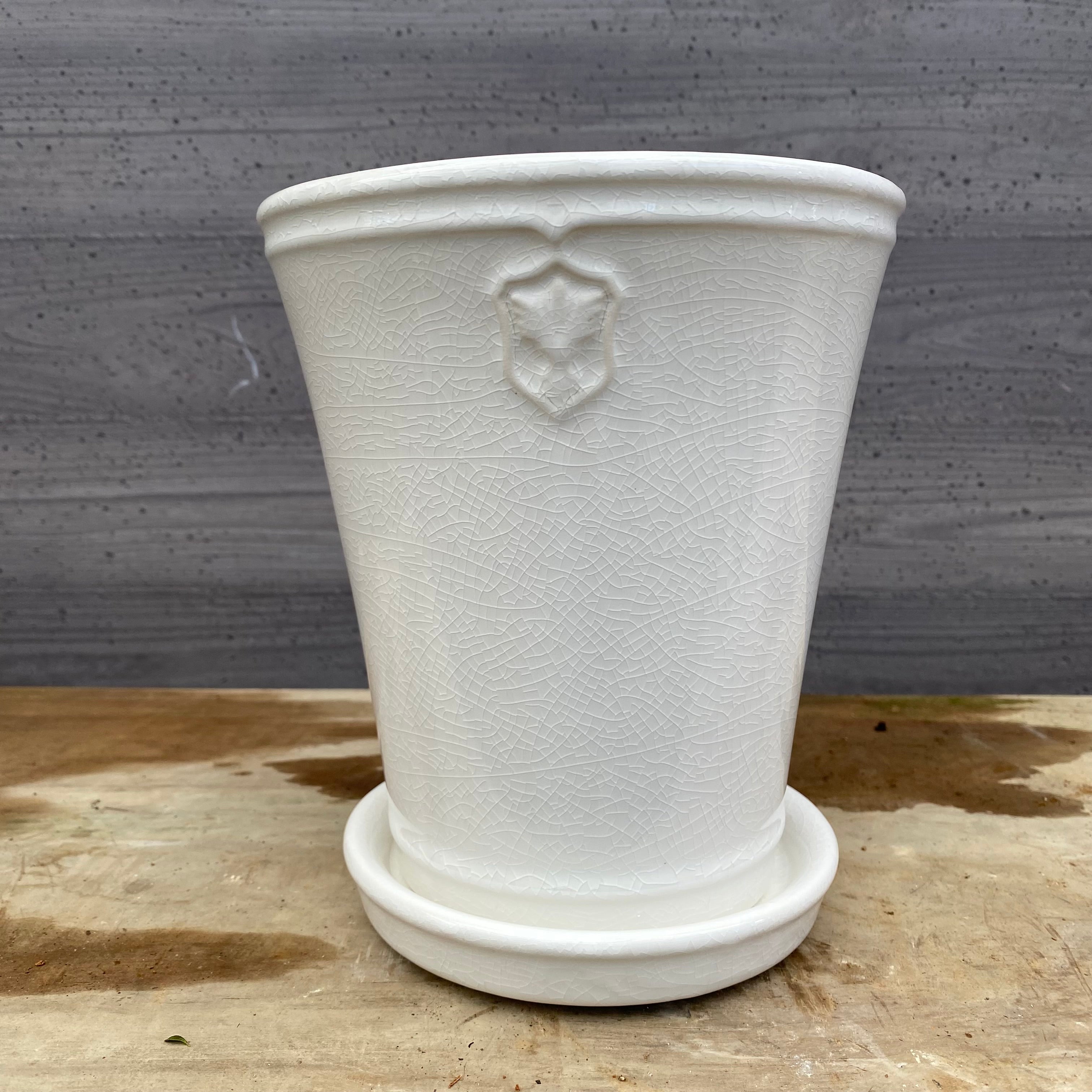 陶器鉢・素焼き鉢・ブランド鉢 – 植物家族