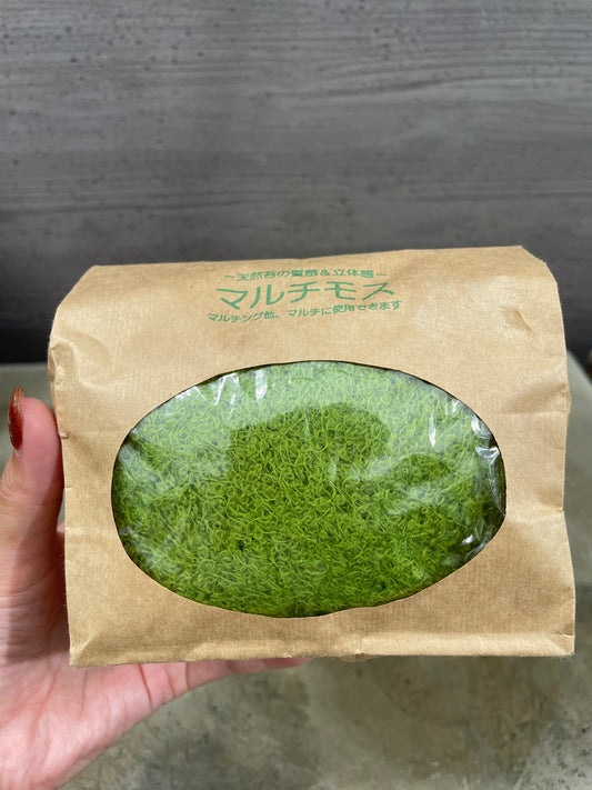 マルチモス ライトグリーン