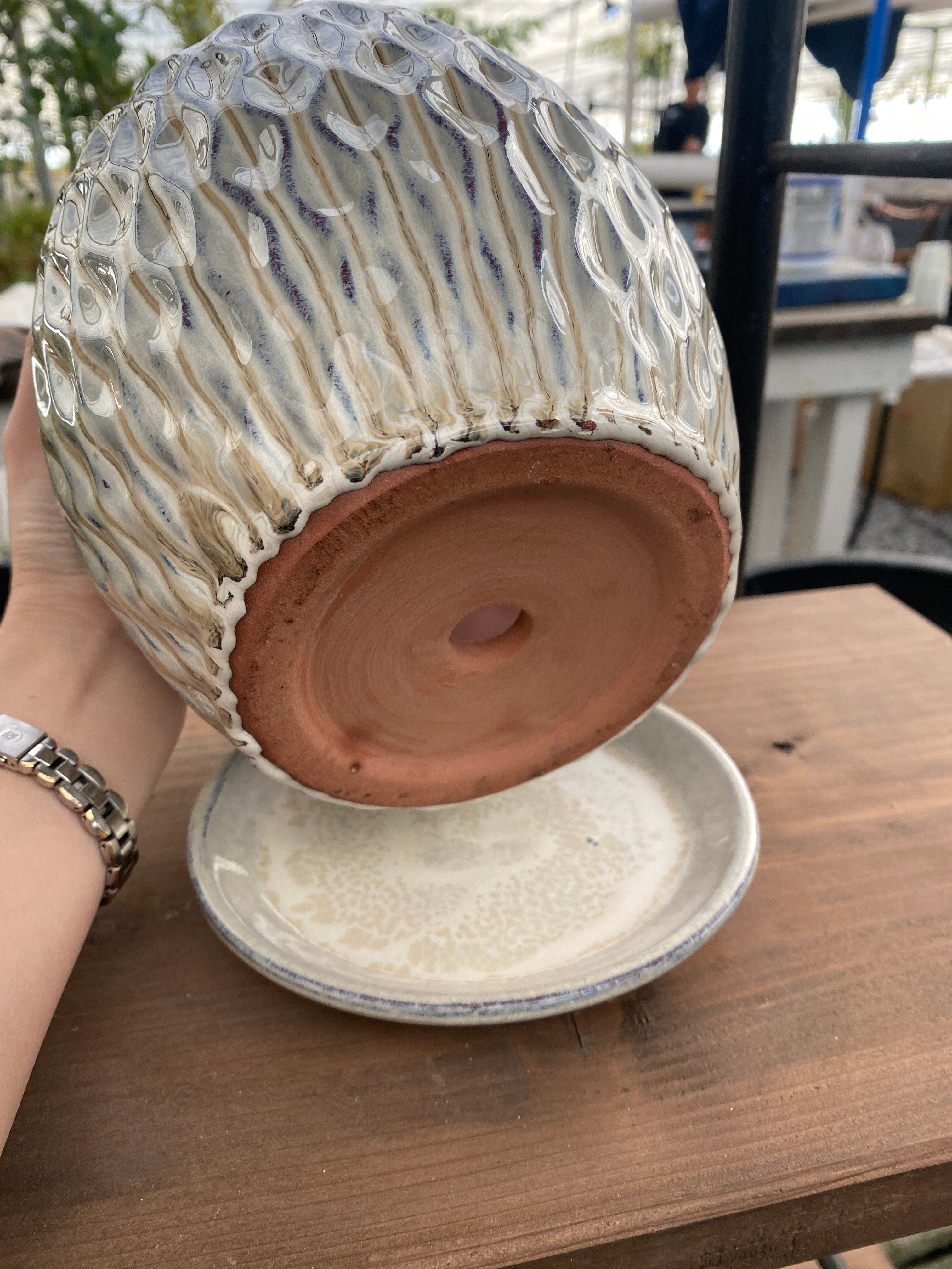 No.19016 陶器鉢 大 受皿付き – 植物家族