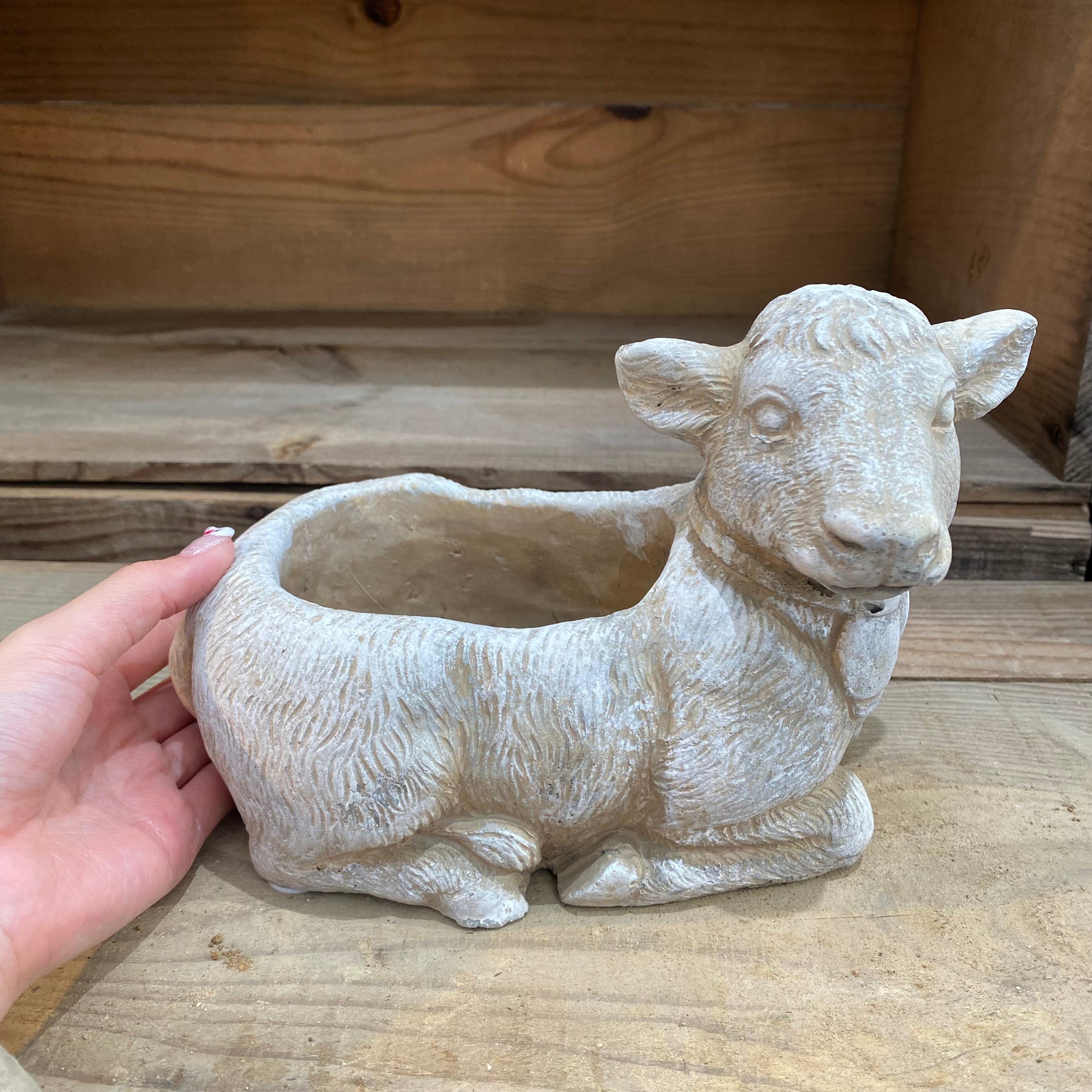 Pickup 全ての商品 – 植物家族