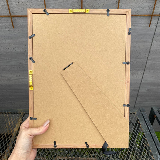 ボタニカルアートフレーム　パキポディウム