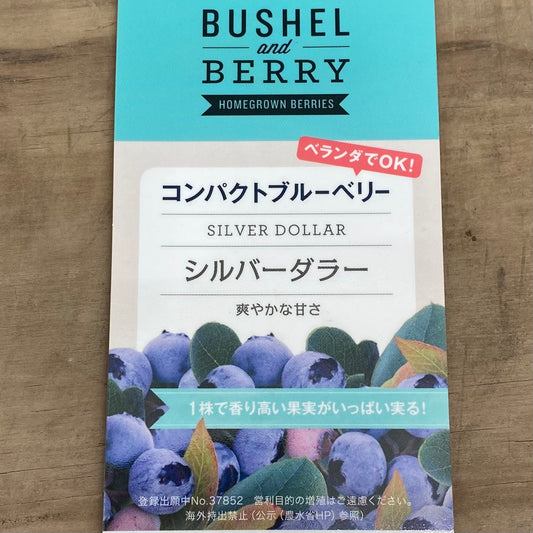 コンパクトブルーベリー　ブッシェル・アンド・ベリー　シルバーダラー　5号鉢