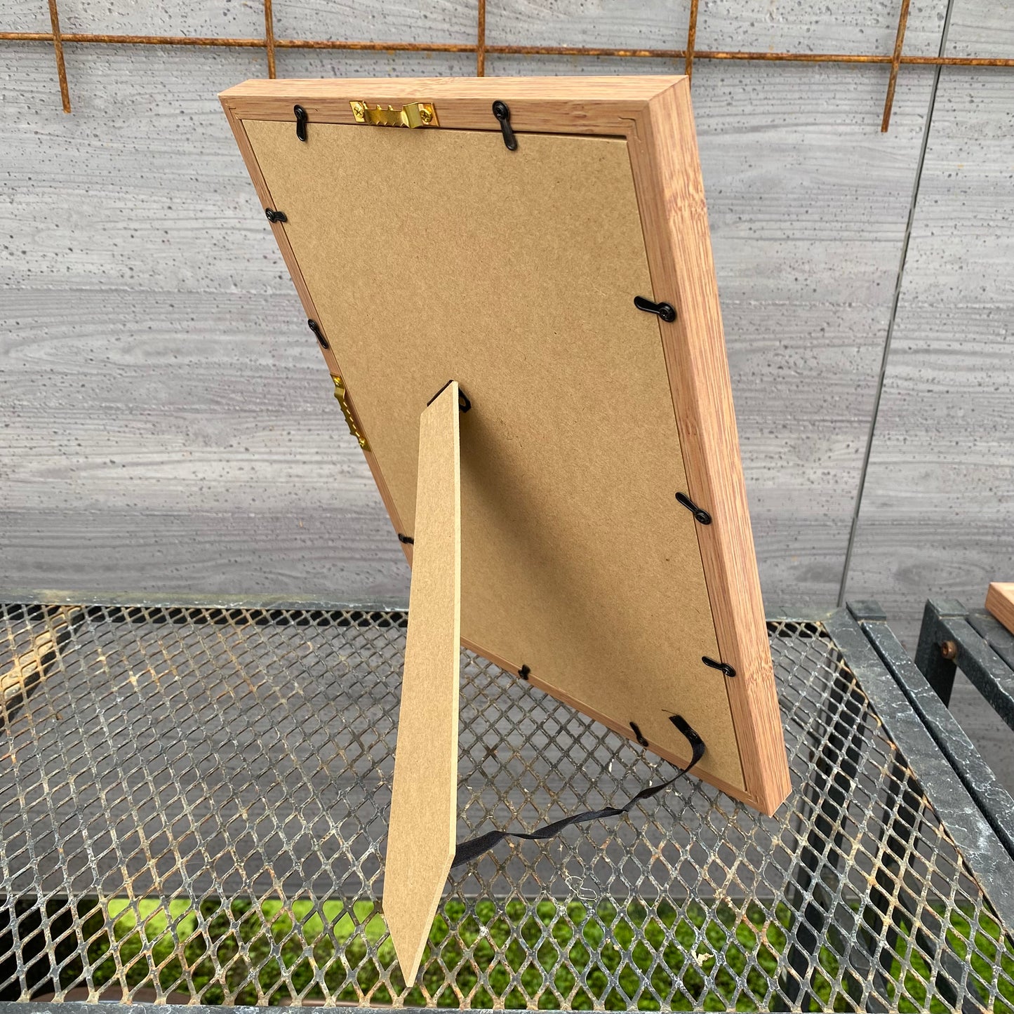 ボタニカルアートフレーム　コウモリランC