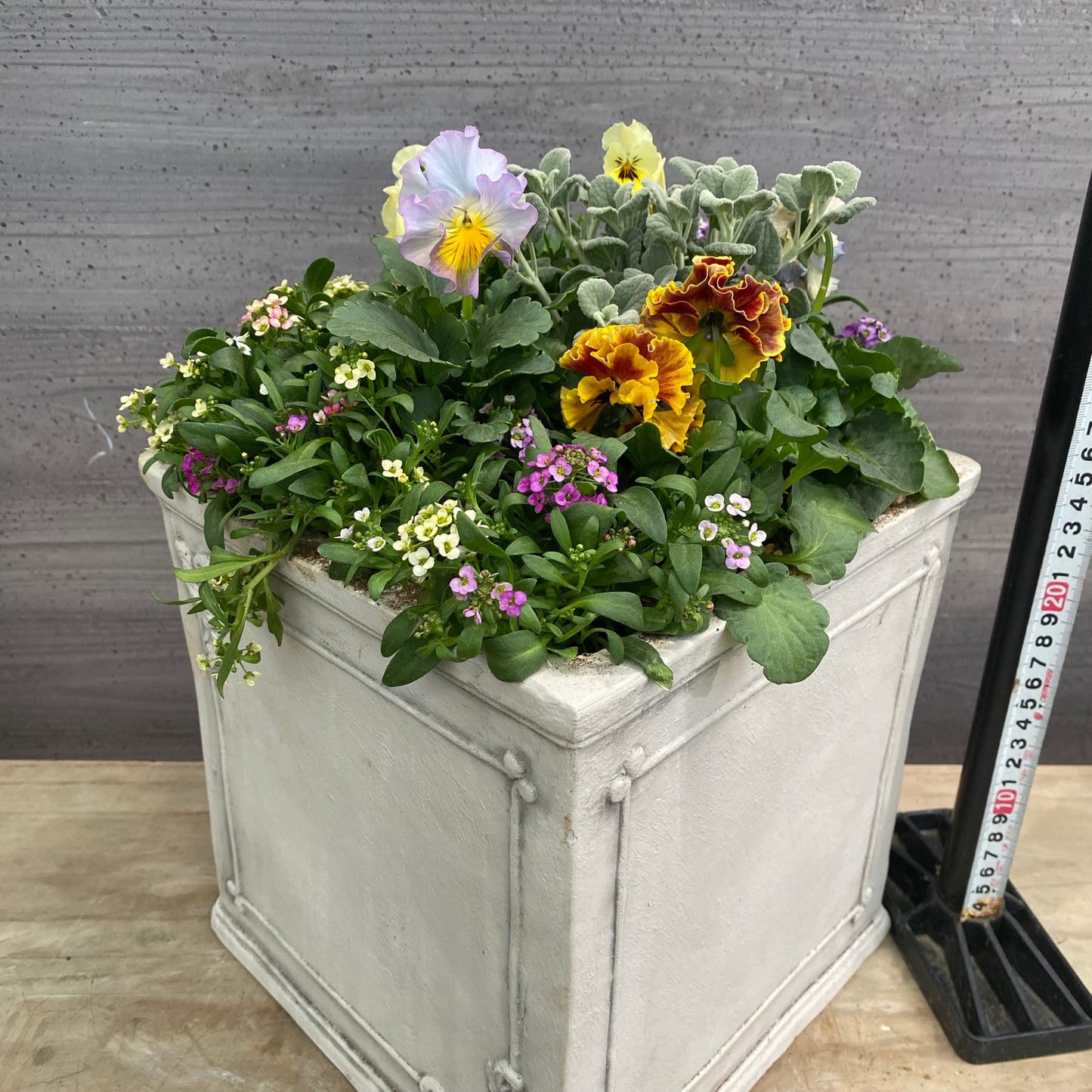 寄せ植えN　白陶器鉢