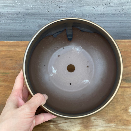 TEPPATU PLANTER 7 BRONZE