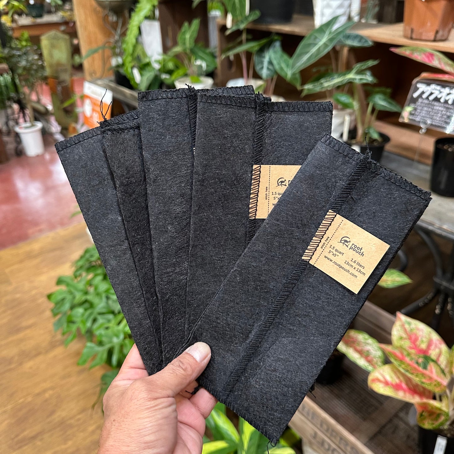 root pouch 　2Sサイズ（Black）　5ヶセット