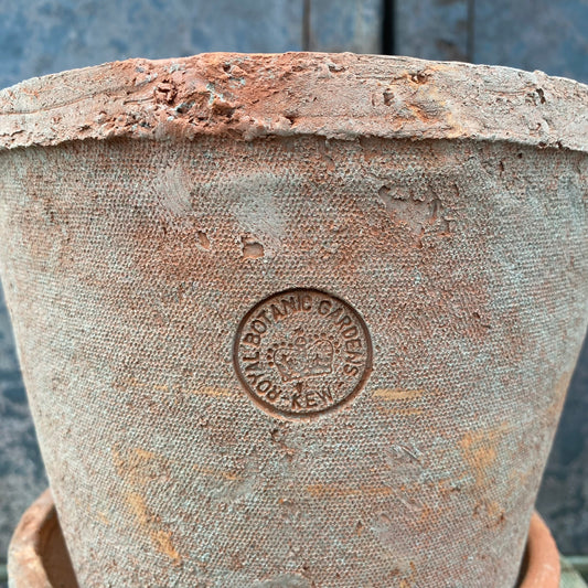 No.05024　”OUTLET ”ランカキューレッド　M