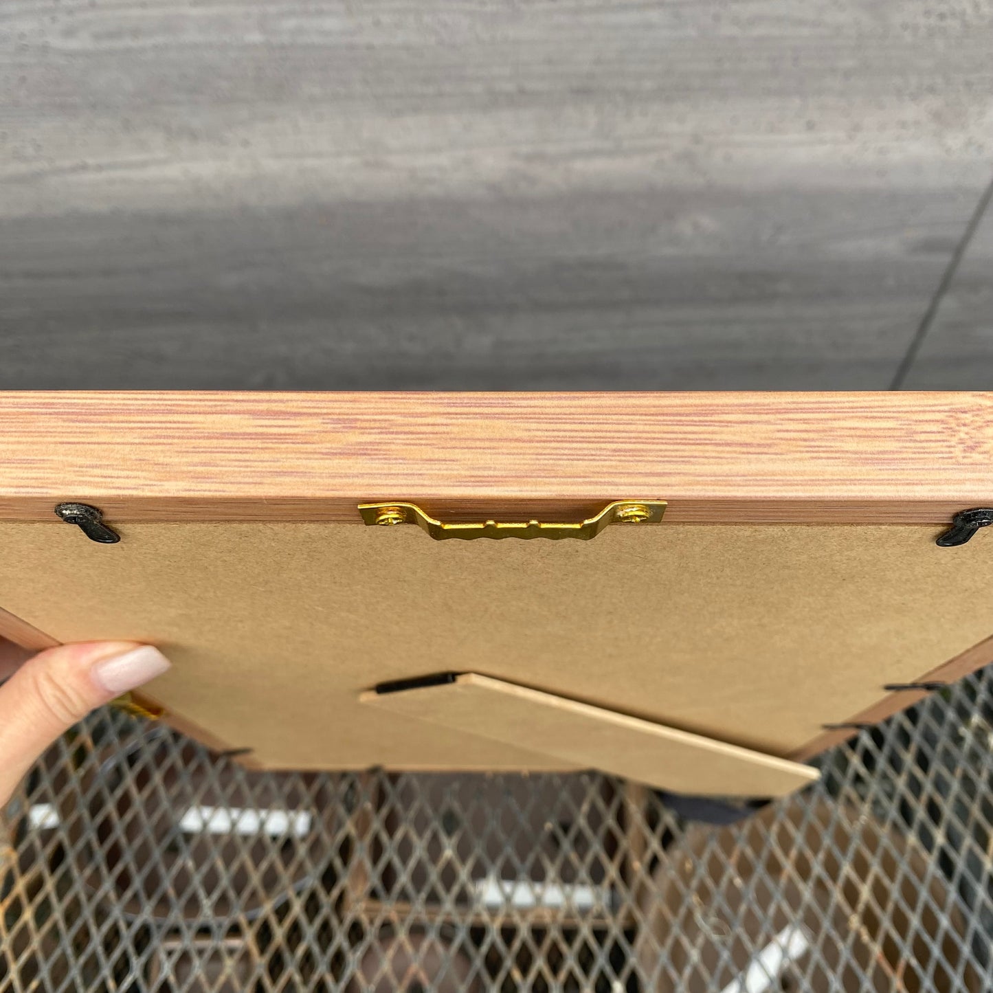 ボタニカルアートフレーム　コウモリランB