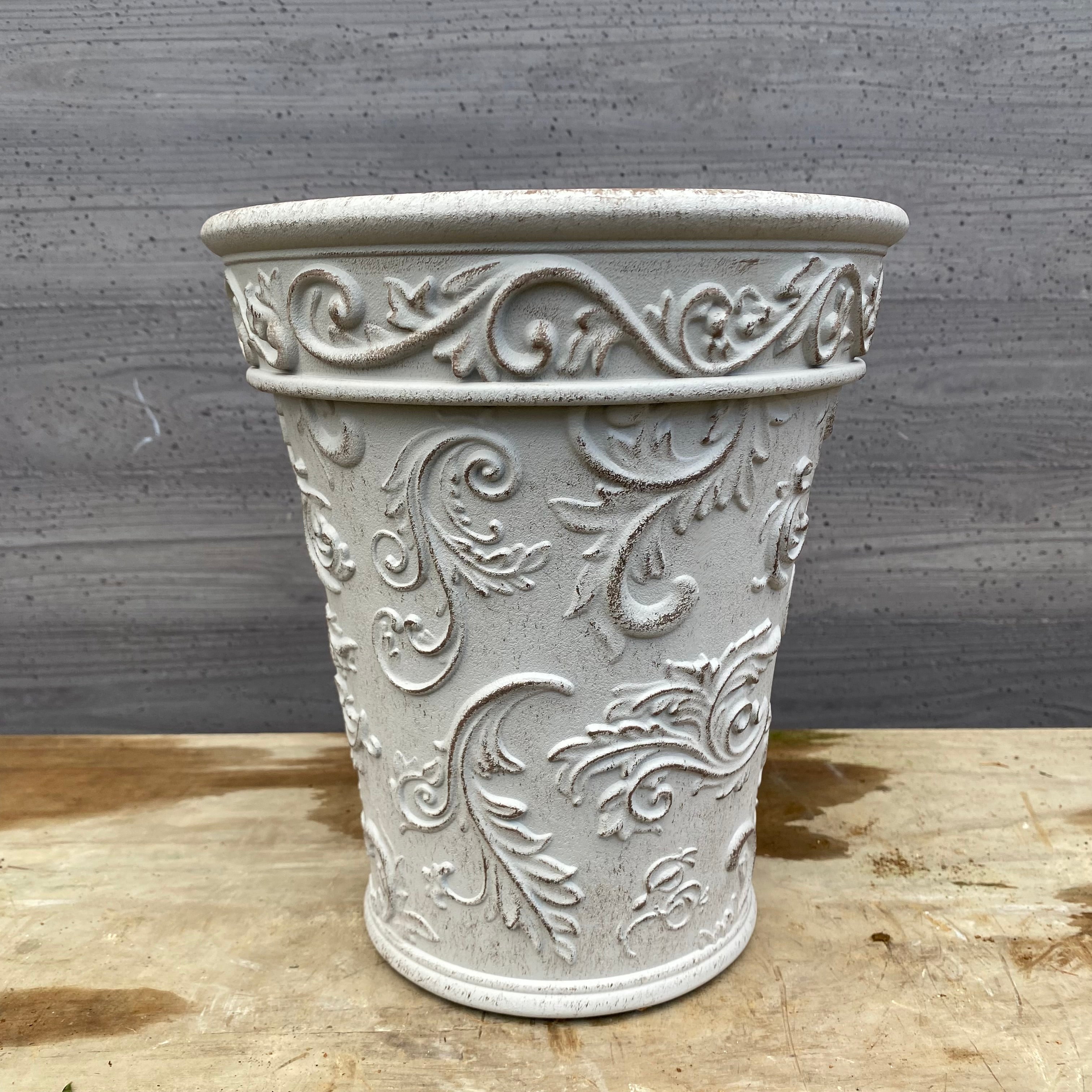 Pickup 全ての商品 – 植物家族