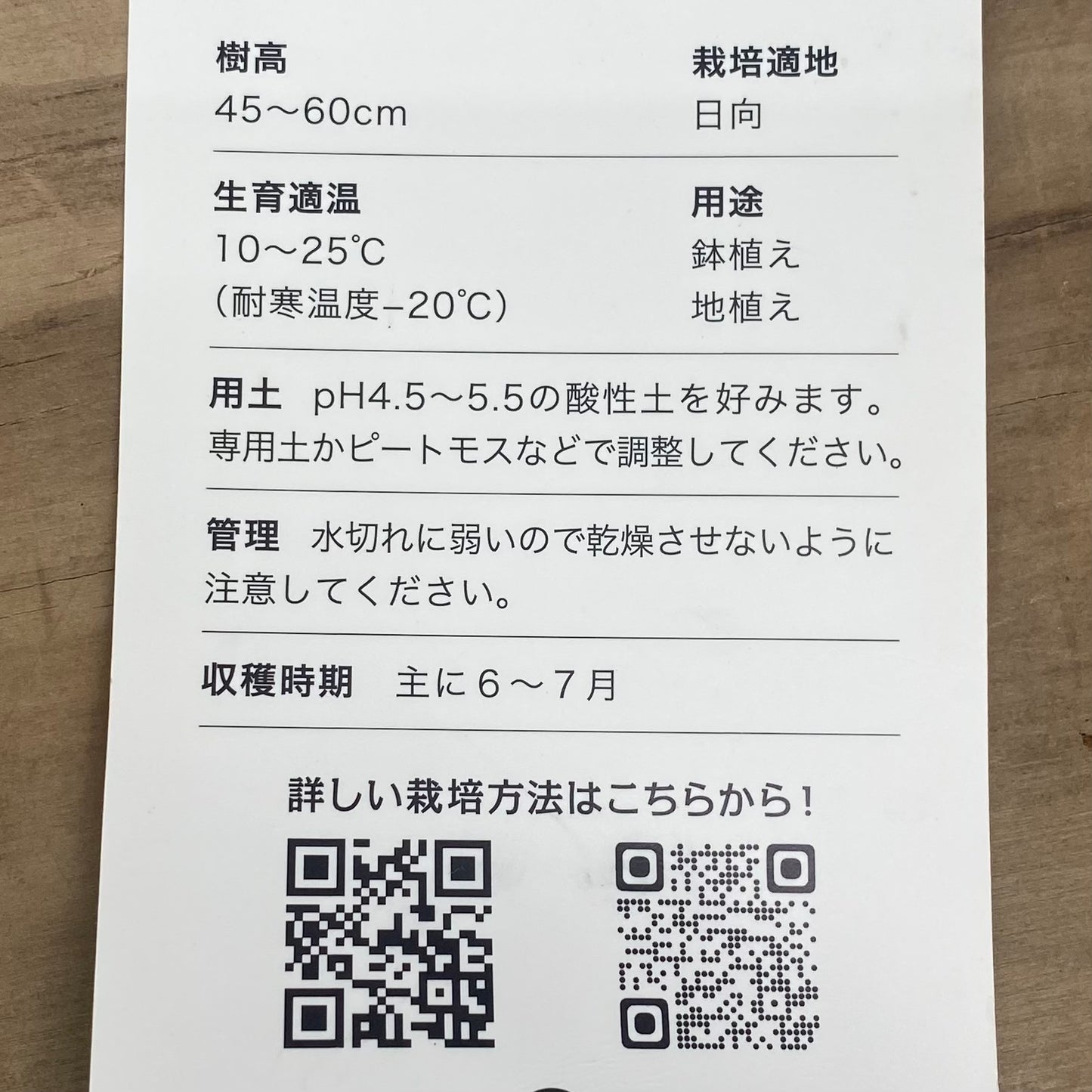 コンパクトブルーベリー　ブッシェル・アンド・ベリー　ミッドナイトカスケード　5号鉢