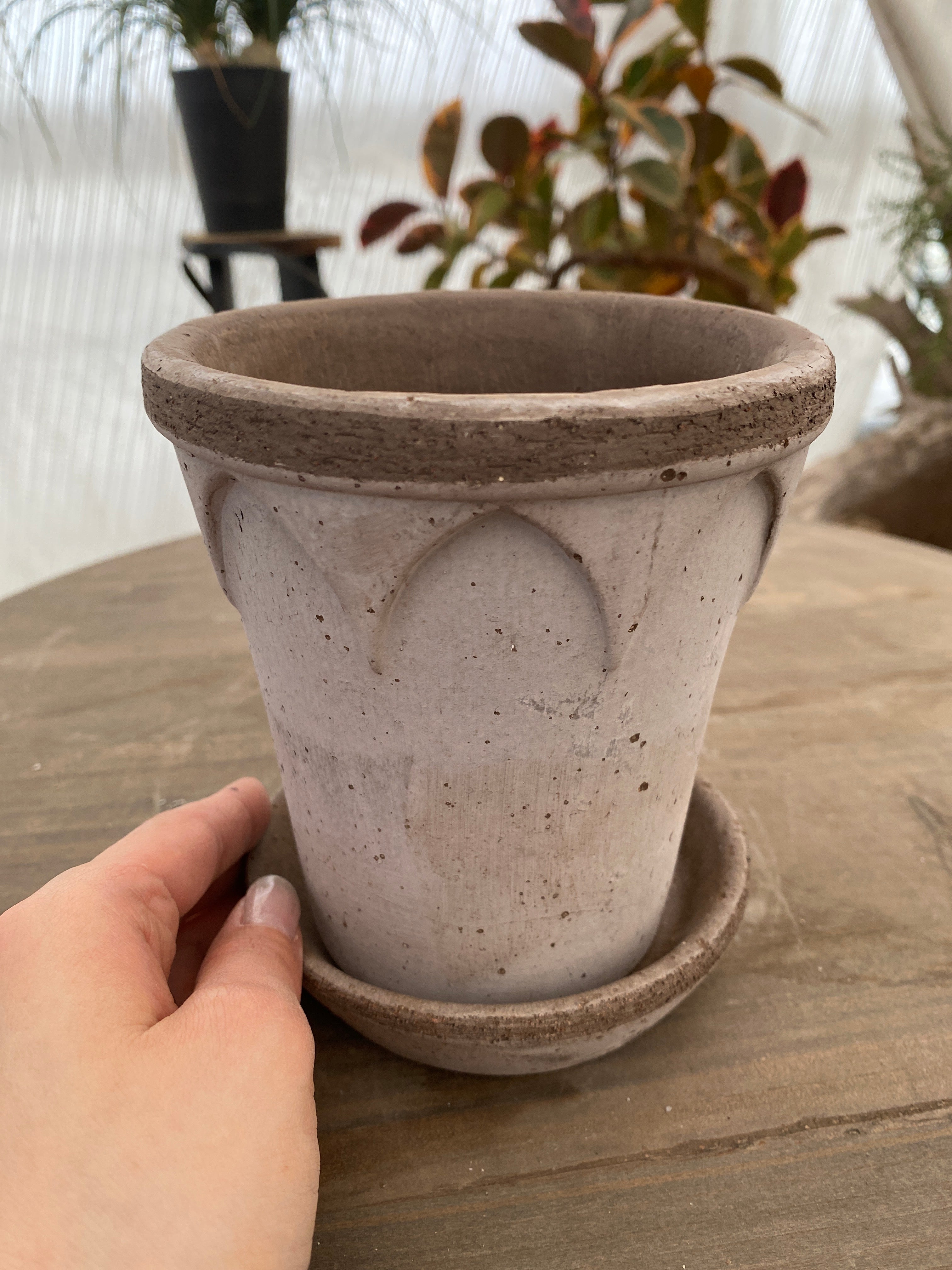 商品 – 植物家族