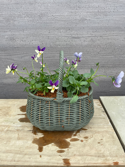 ビオラ 寄せ植え バスケット