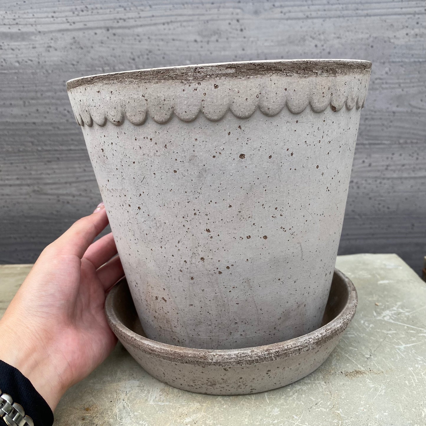 BERGS　陶器鉢　ヘレナ18　グレー　受皿付き