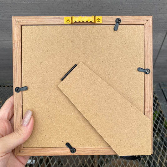 ボタニカルアートフレーム　エアプランツ