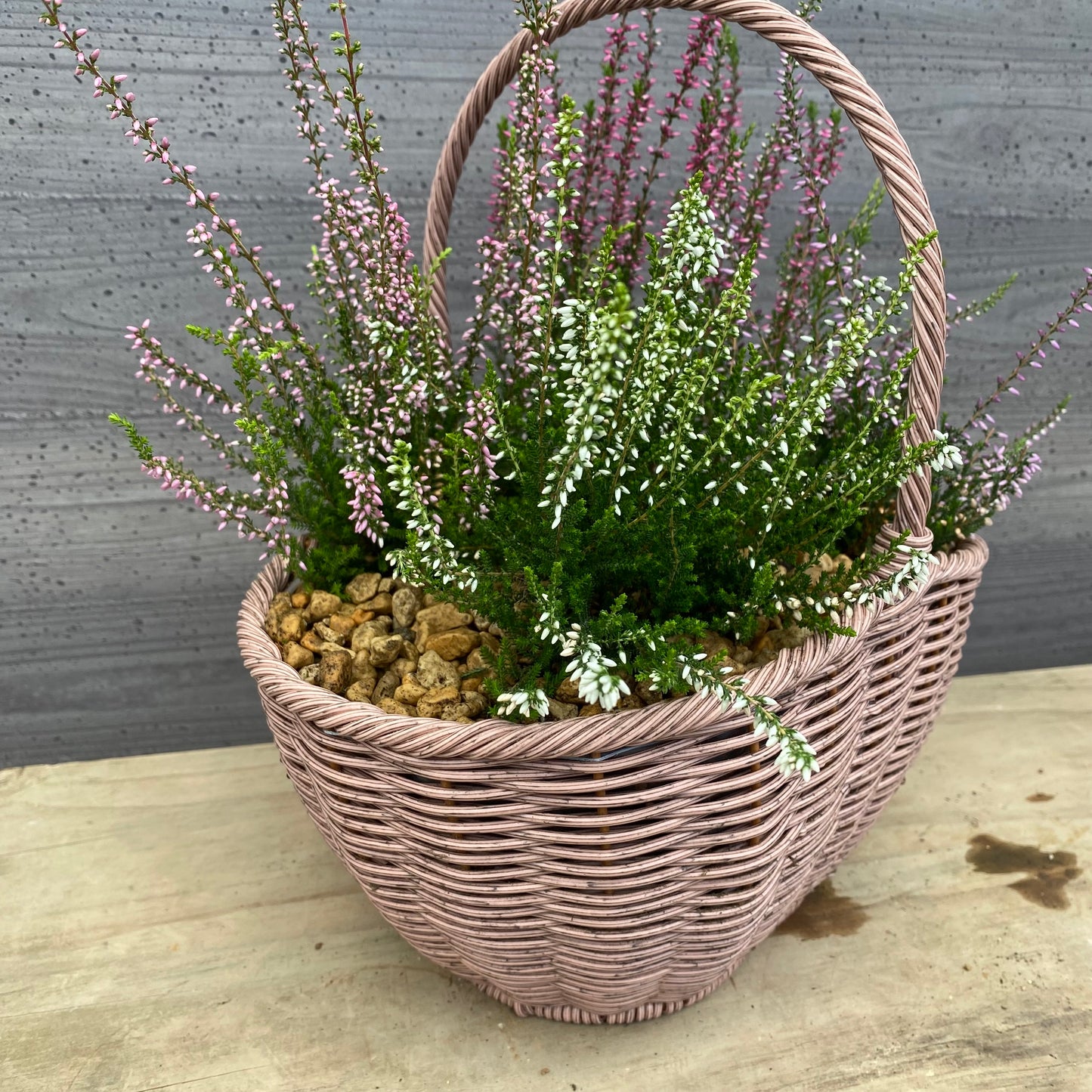 社長植栽★　カルーナ　ガーデンガールズ4ポット寄せ植え　手付きバスケットピンク