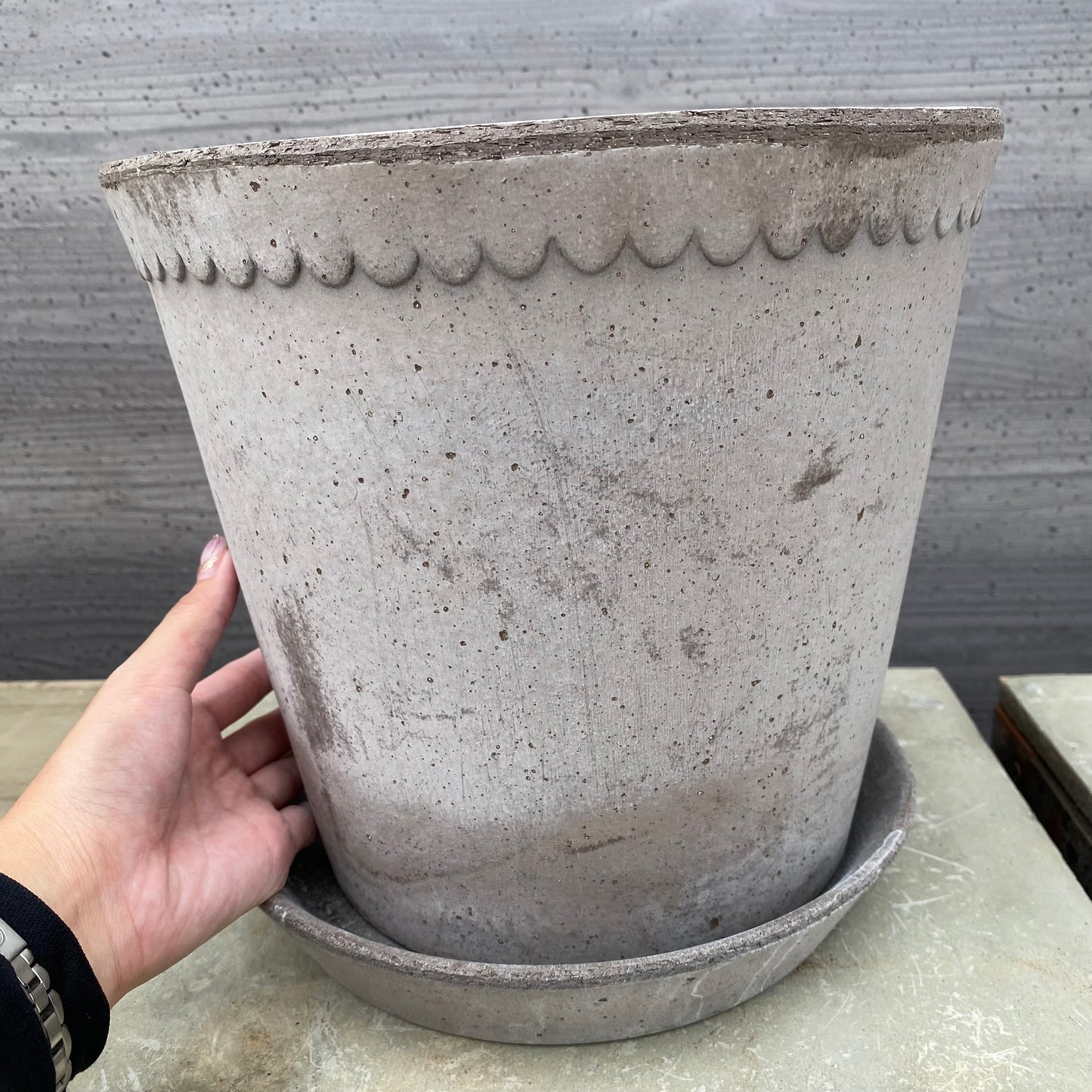 BERGS　陶器鉢　ヘレナ25　グレー　受皿付き