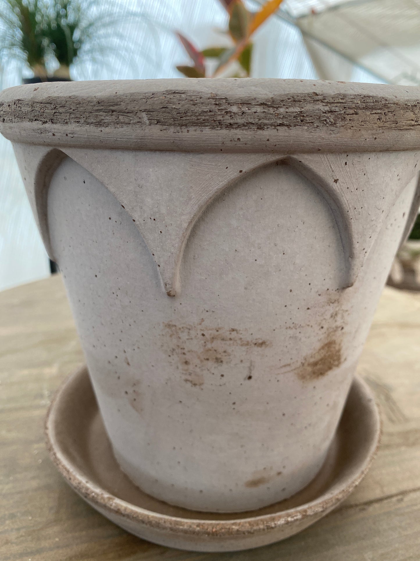 BERGS　エリザベス18　グレー