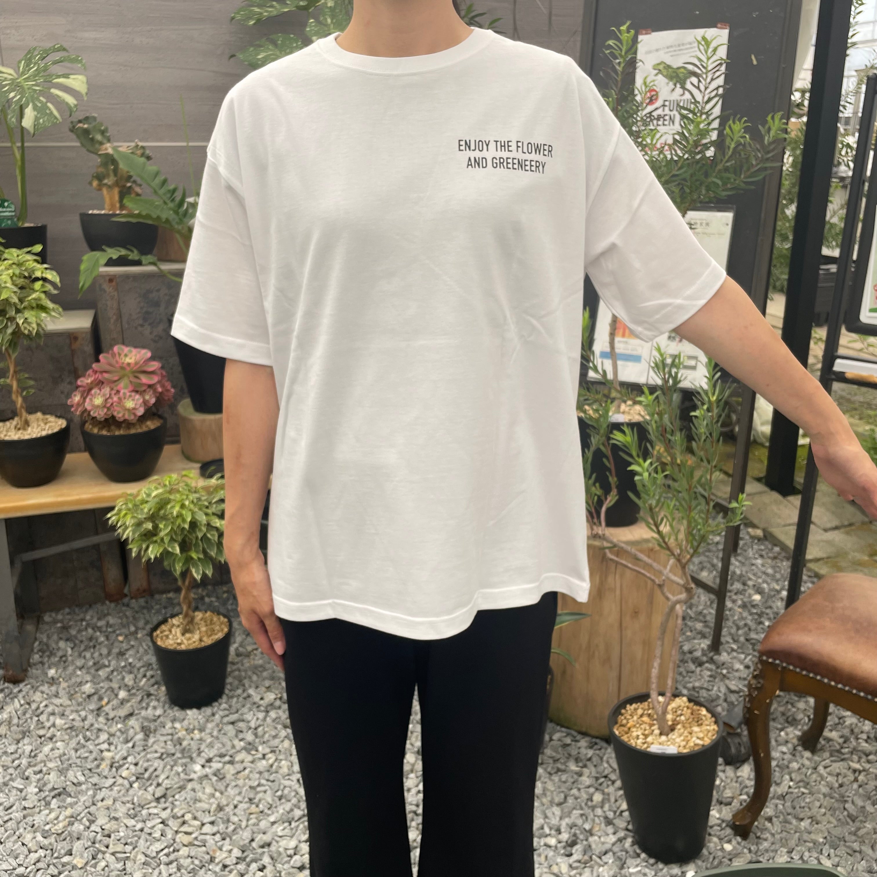 Pickup 全ての商品 – 植物家族