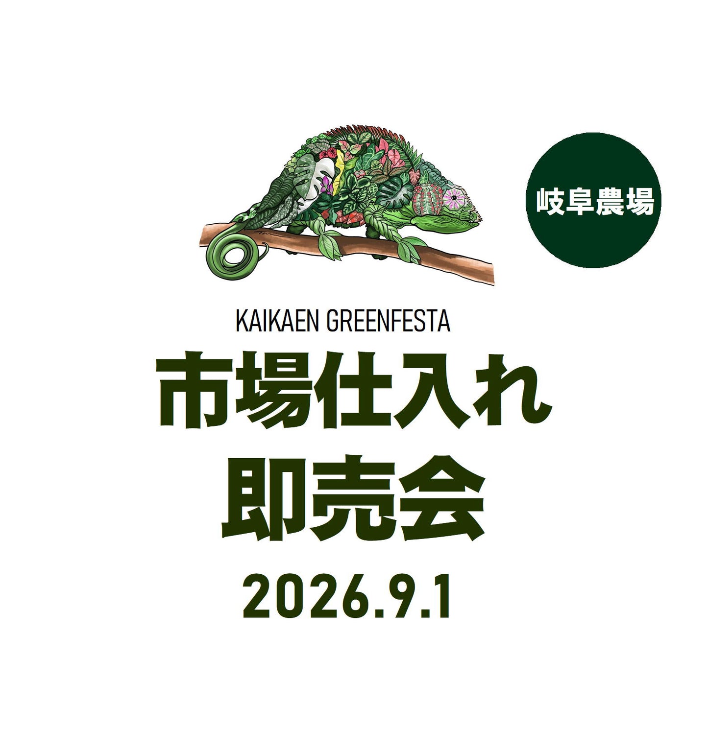 No.01009　アガベ　チタノタ　ヤマカメ　抜き苗