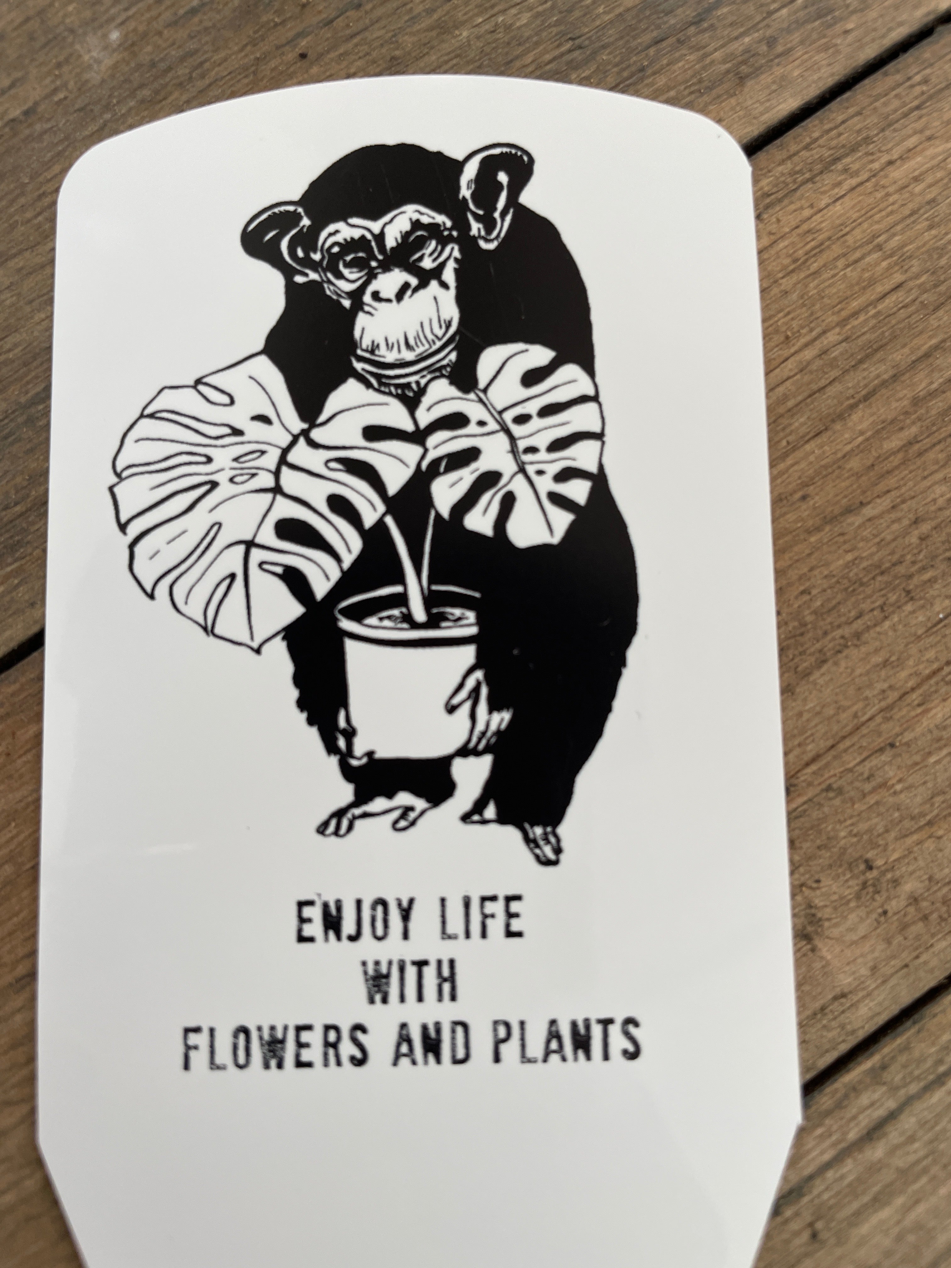 Pickup 全ての商品 – 植物家族