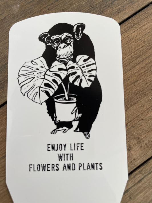 junkom4343様売約分　社長厳選！4ポット寄せ植え 　 パンジー他