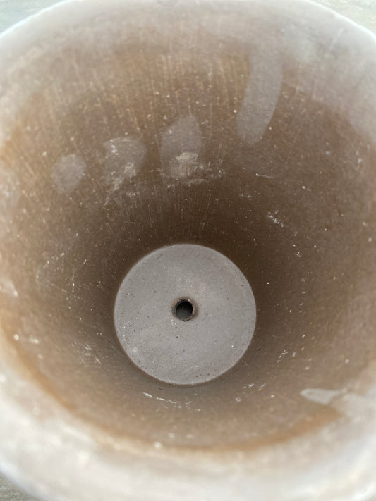 BERGS　エリザベス12　グレー