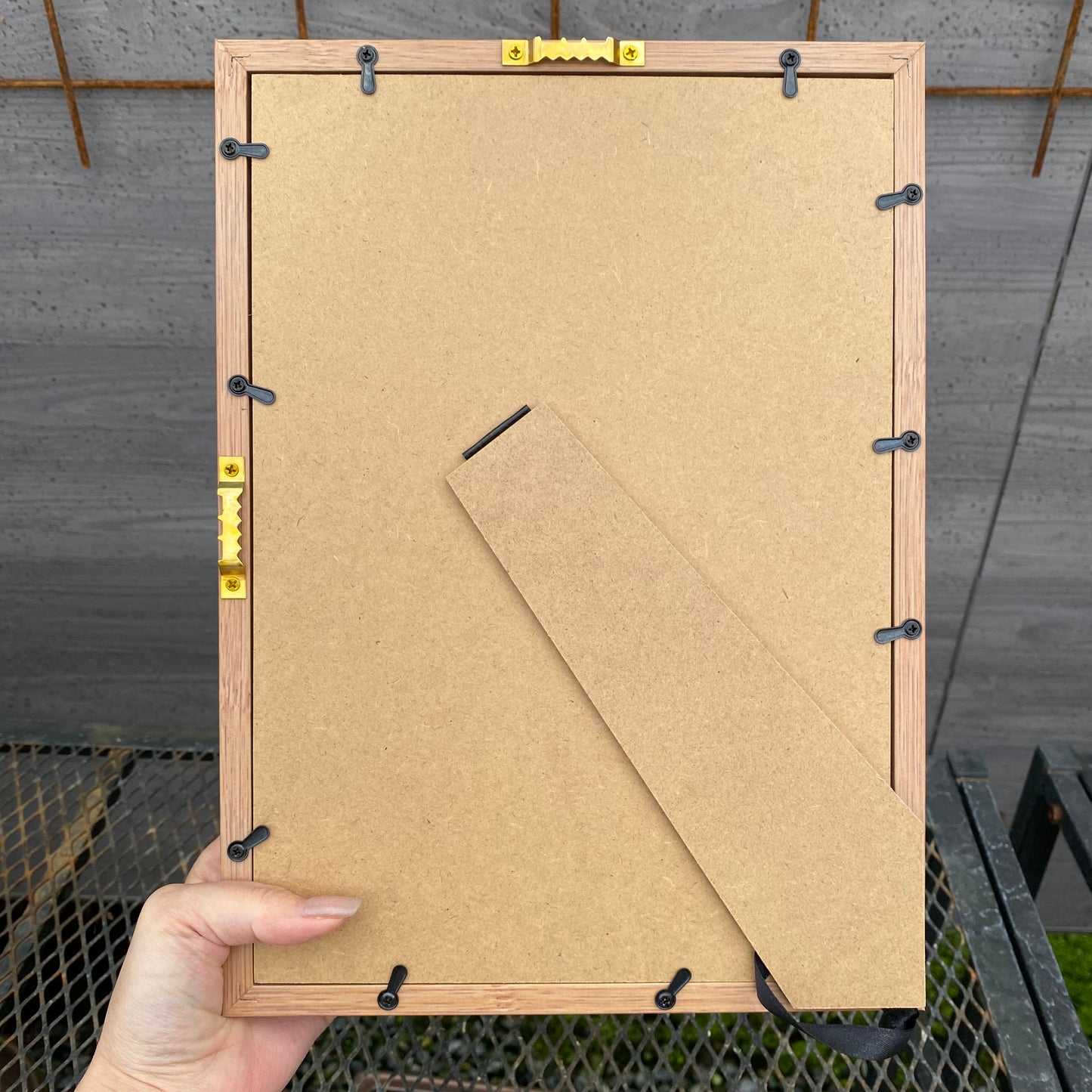 ボタニカルアートフレーム　コウモリランB