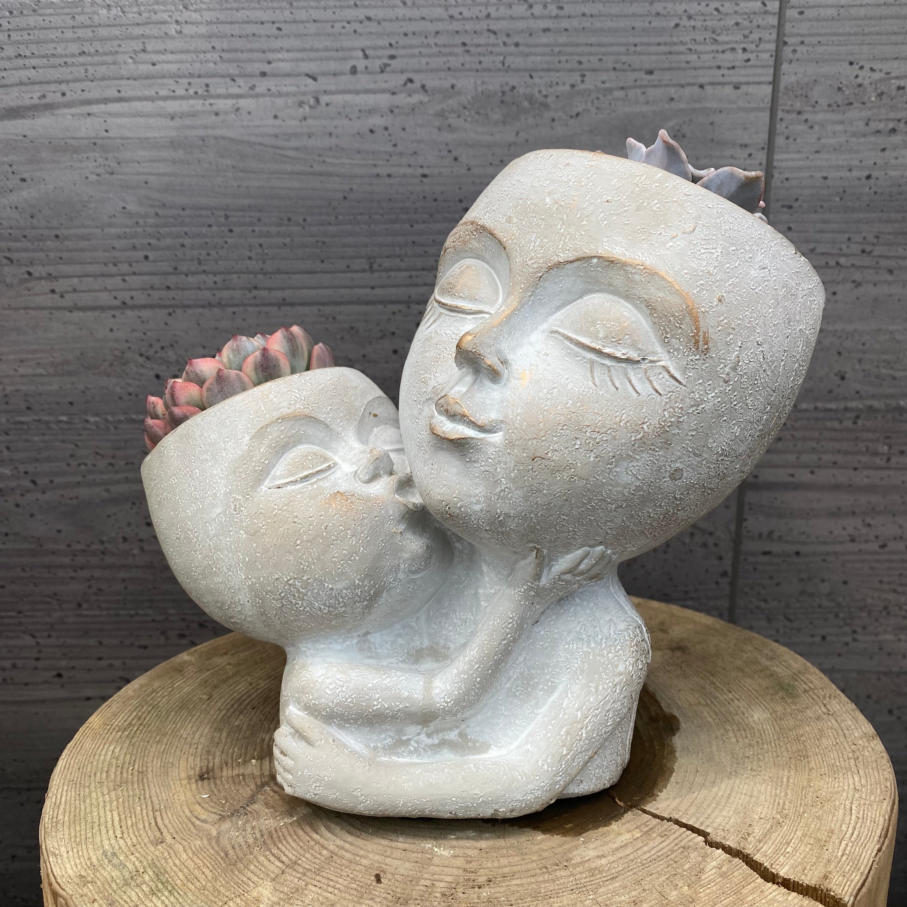 Pickup 全ての商品 – 植物家族