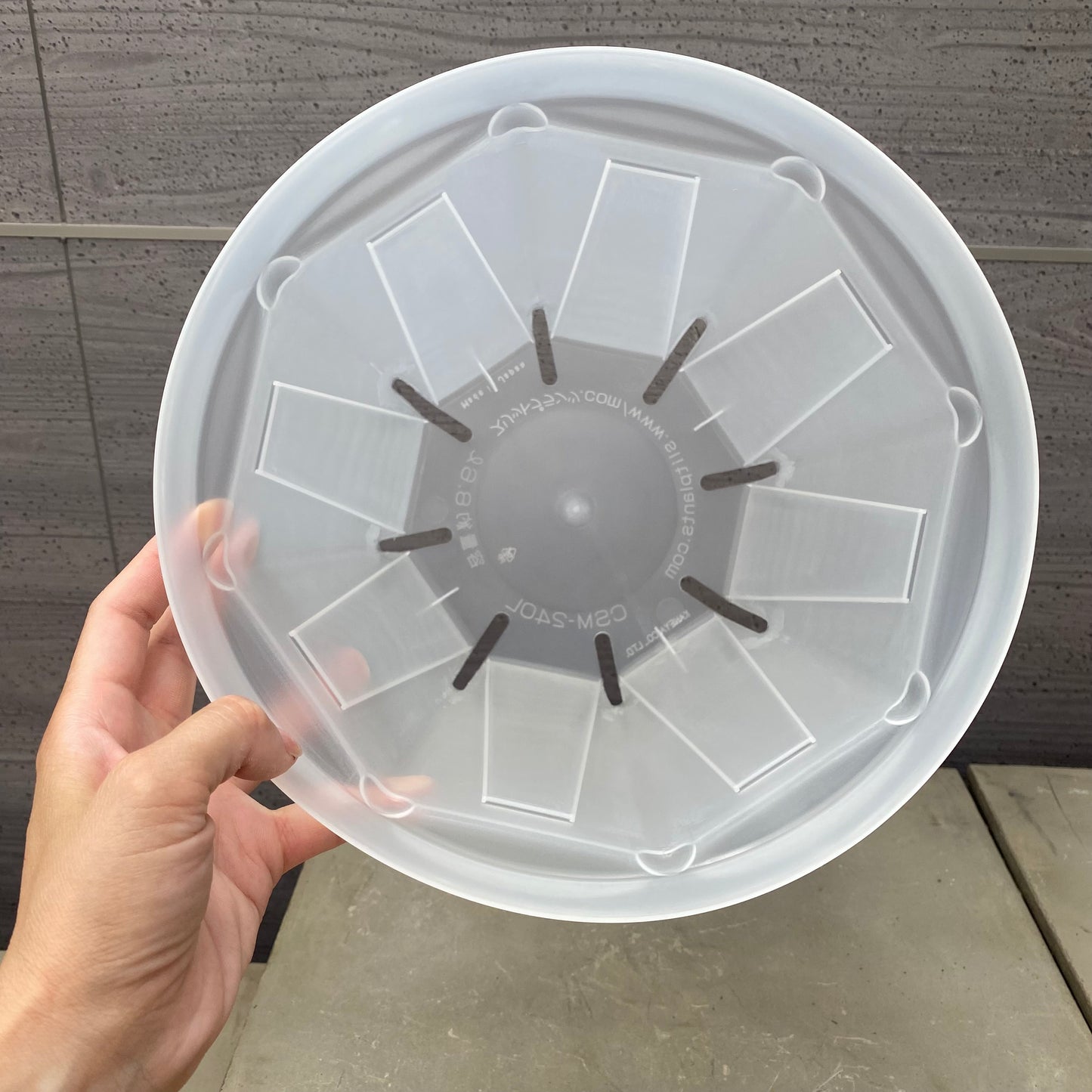 半透明スリット鉢　★ネガミエル8号（24㎝）