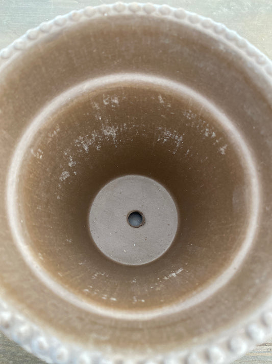 BERGS　シモナ12　グレー