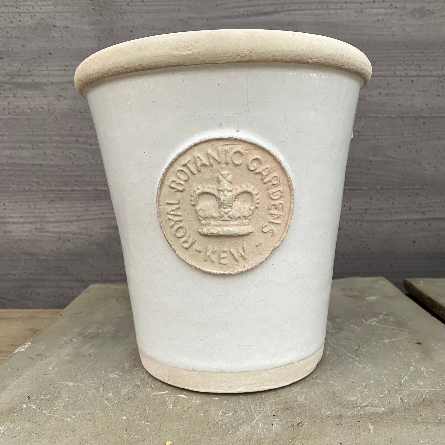 リスピー キューポット　ボーンホワイト　ROYAL BOTANIC GARDENS-KEW-