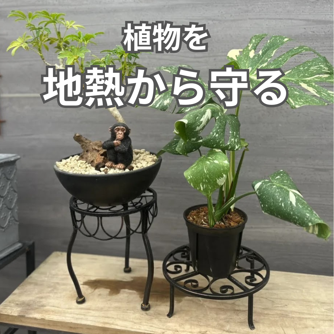 地熱から植物を守るのに効果的な花台。水はけが良くなり根腐れ防止にもなります！高低差をつけることで、玄関先やお庭に立体的な奥行きを演出することもできます。