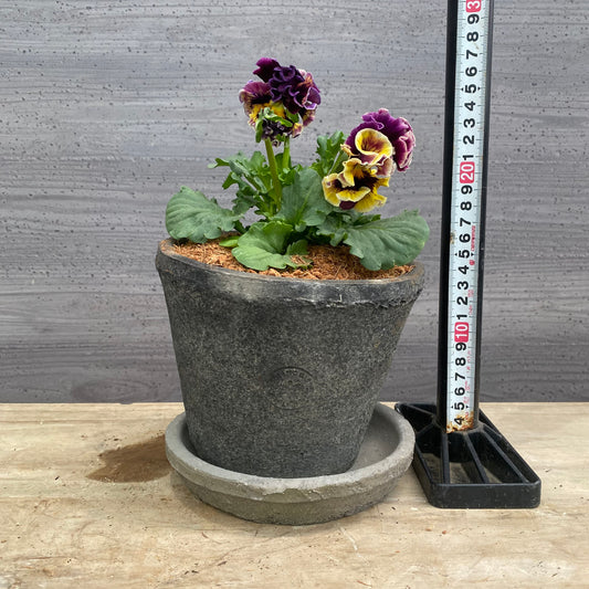 寄せ植えG キューガーデンポット