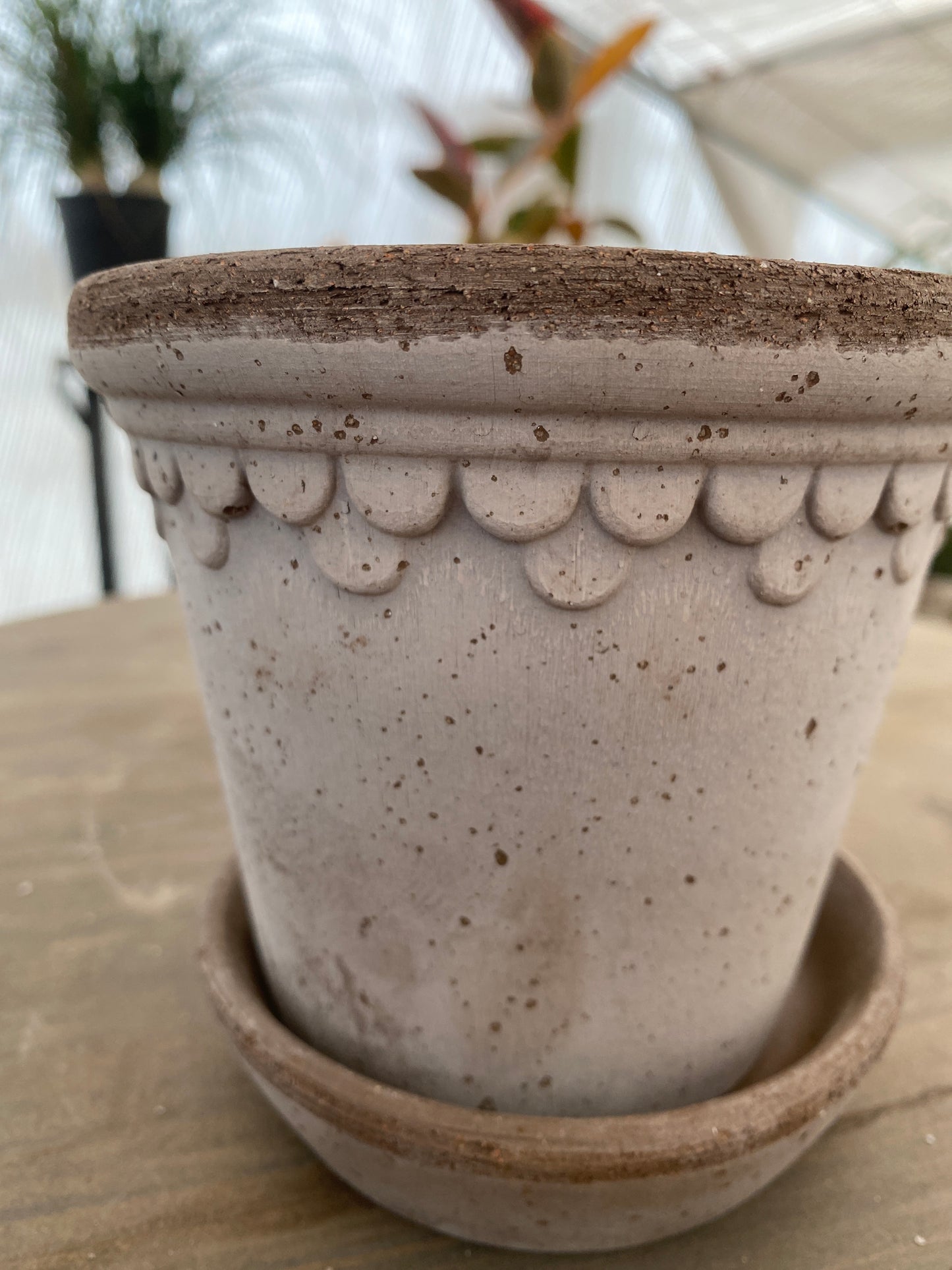 BERGS　コペンハーゲン12　グレー